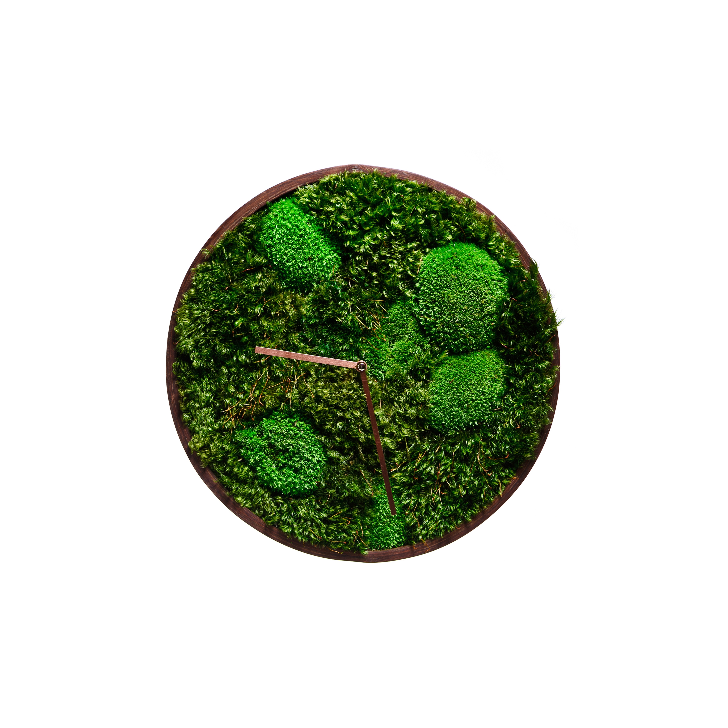Display product Moss Clock With Ball Moss And Provence Moss 45cm from manufacturer Ekomoss