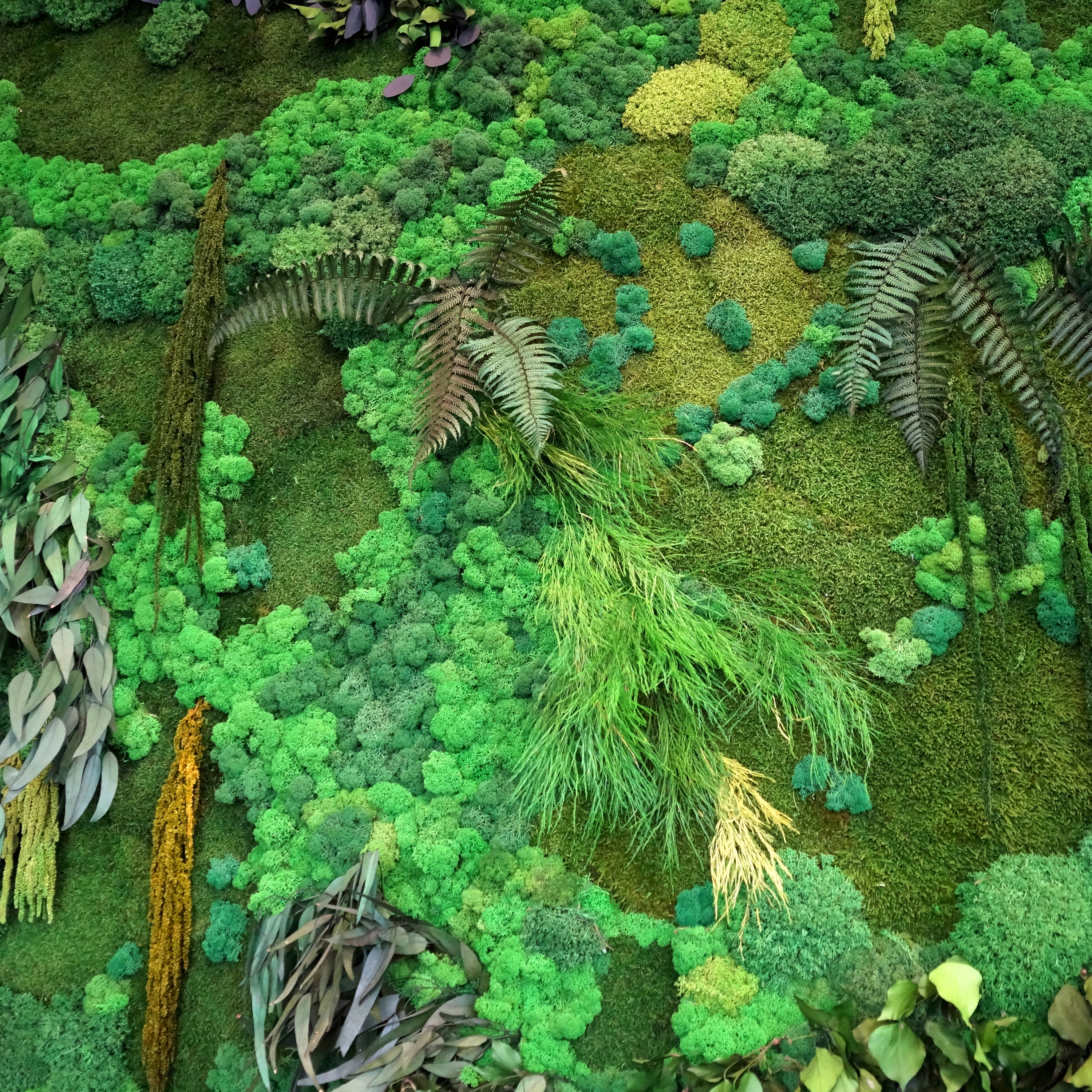 Display product Moss Wall With Preserved Plants | Preserved Plants Walls from manufacturer Ekomoss