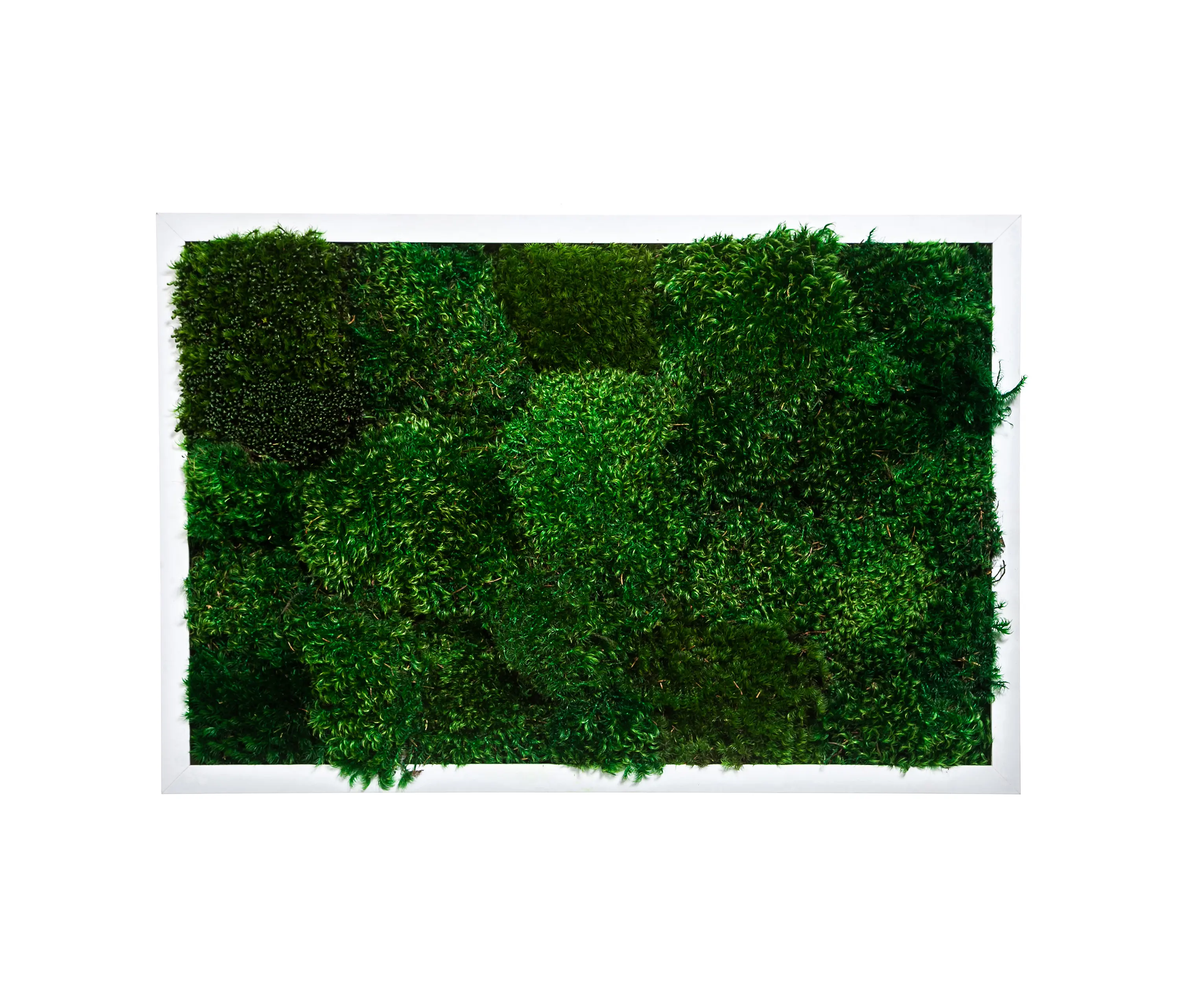 Ekomoss - Rectangular Moss Picture | Moss Picture With Provence Moss 40X40
