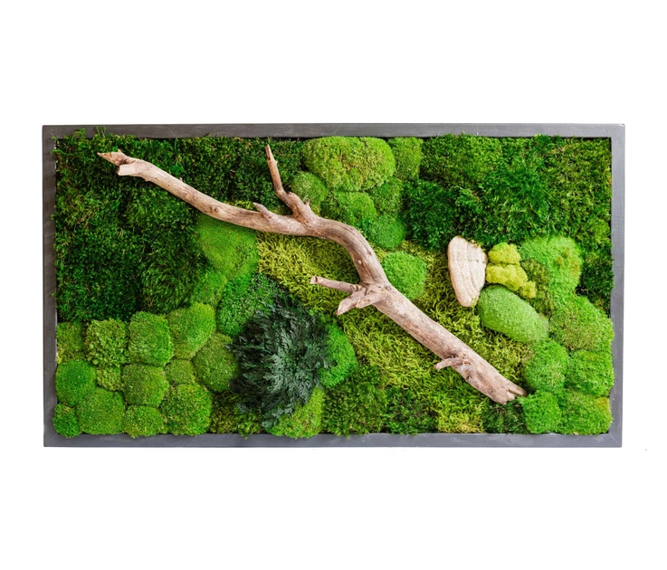 ekomoss_rectangular-moss-