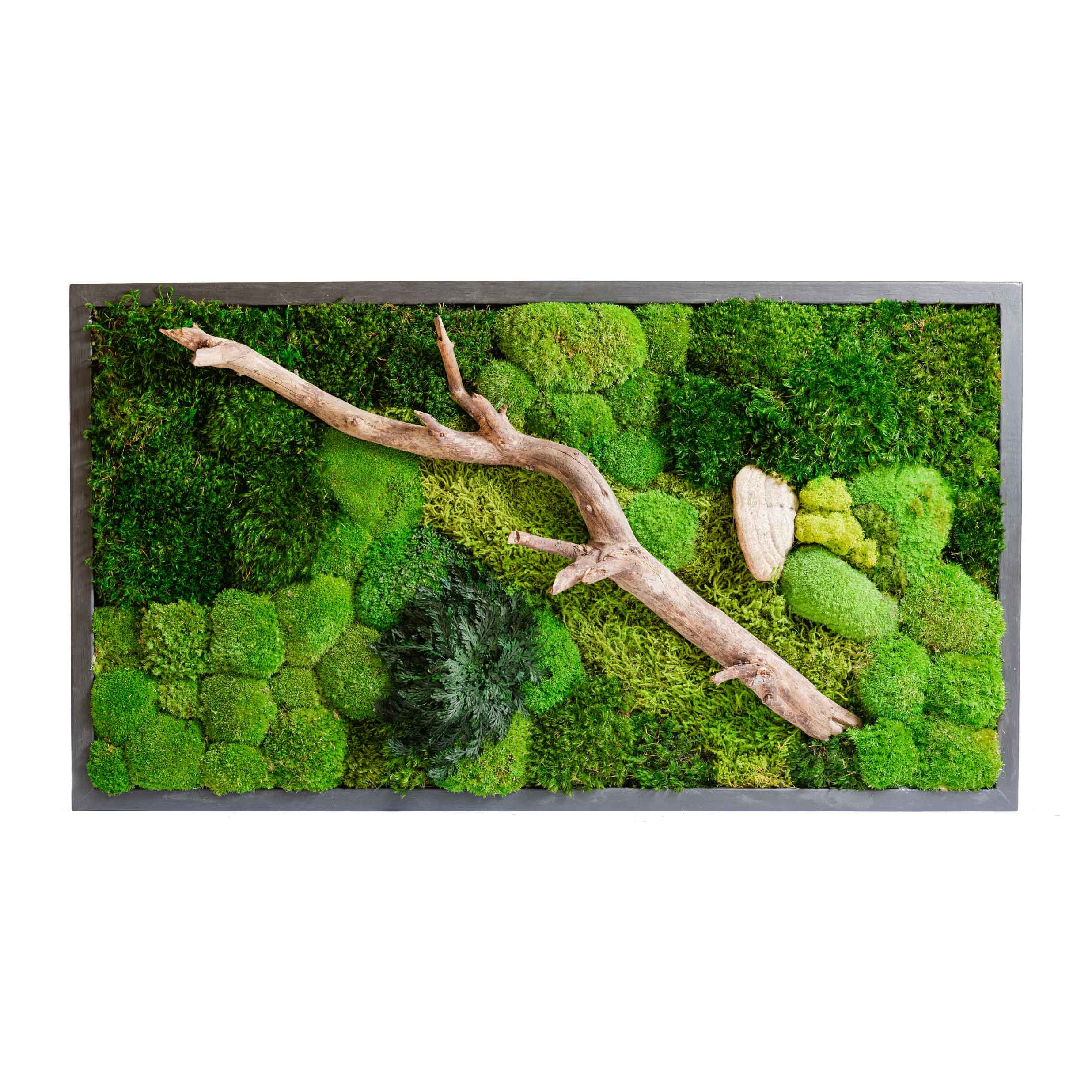 Display product Rectangular Moss Picture | Plant Picture With Mix Moss, Preserved Plants And Wood Bark 120X60cm from manufacturer Ekomoss