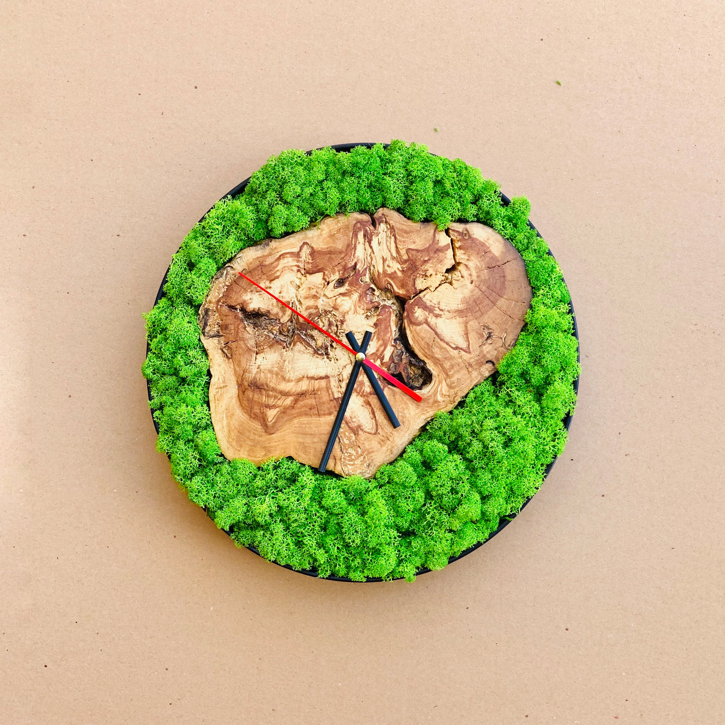 Display product Moss clock with massive wood 30 cm Reindeer moss from manufacturer Ekomoss