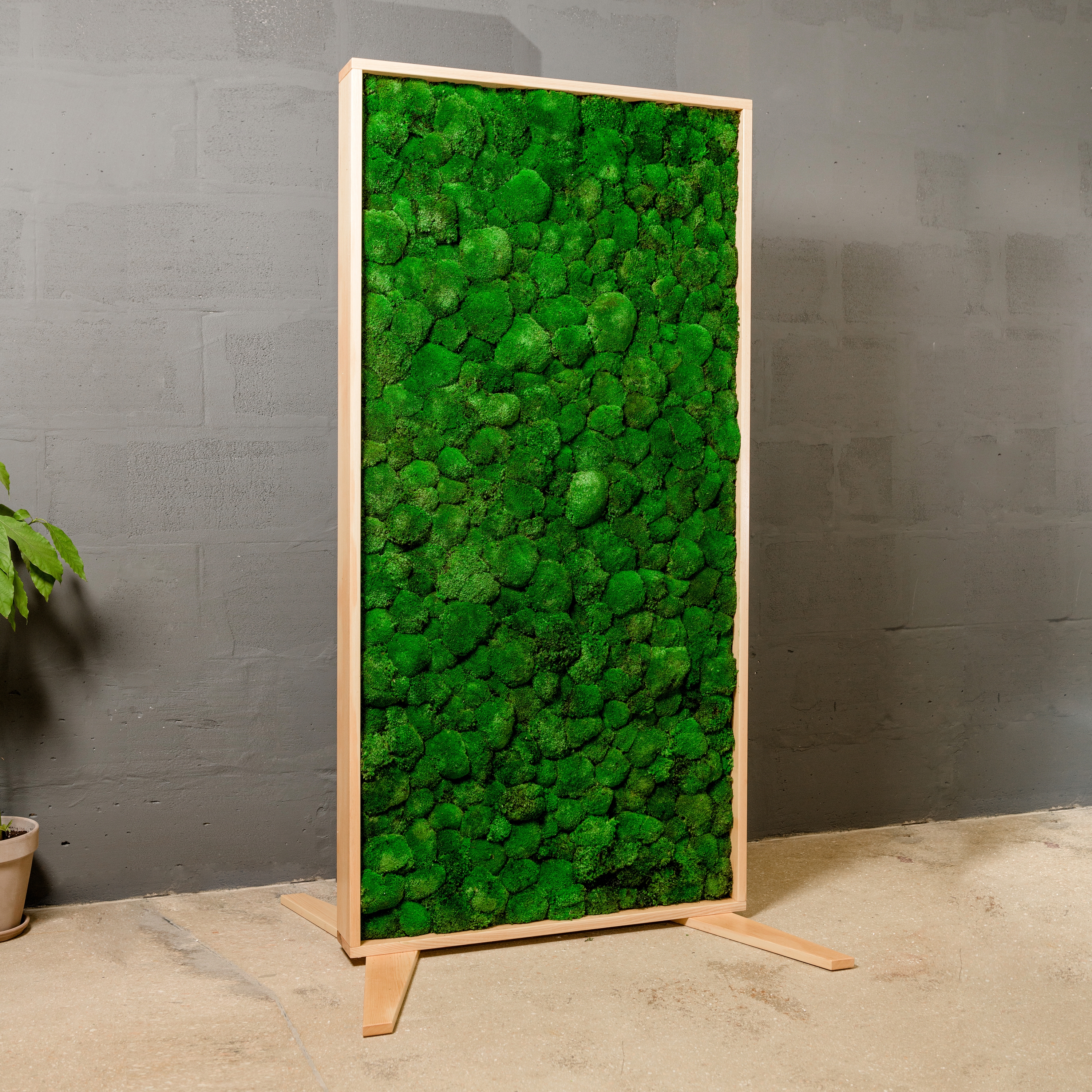 Display product Moss Devider 2m x 1m from manufacturer Ekomoss