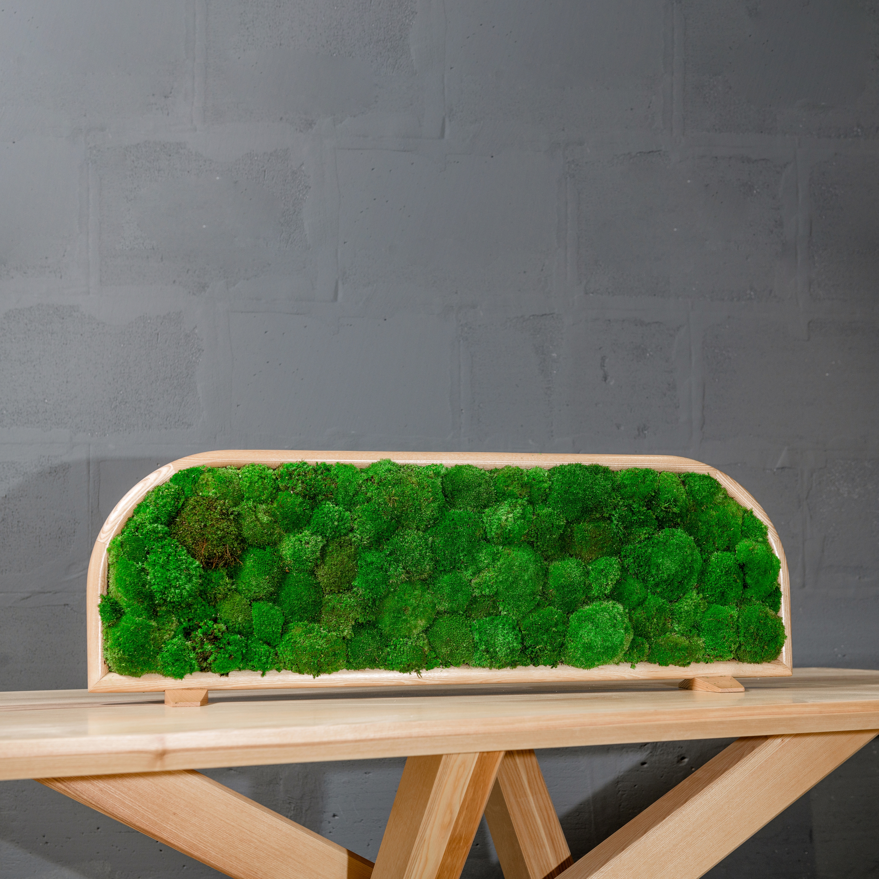 Display product Moss Devider | Table moss devider from manufacturer Ekomoss
