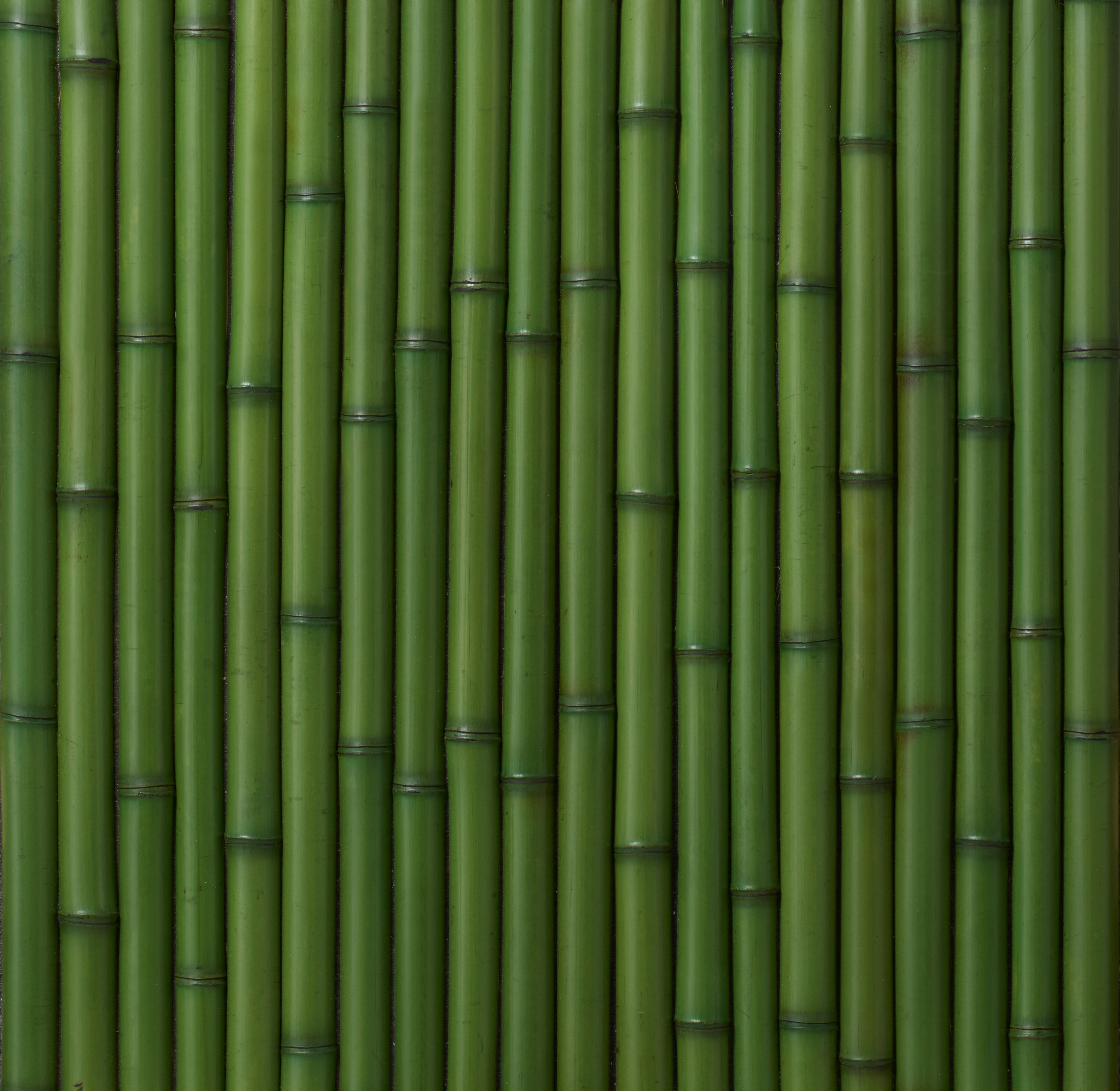 Produkt Takesada Bamboo_Hanwari des Herstellers Hiyoshiya anzeigen
