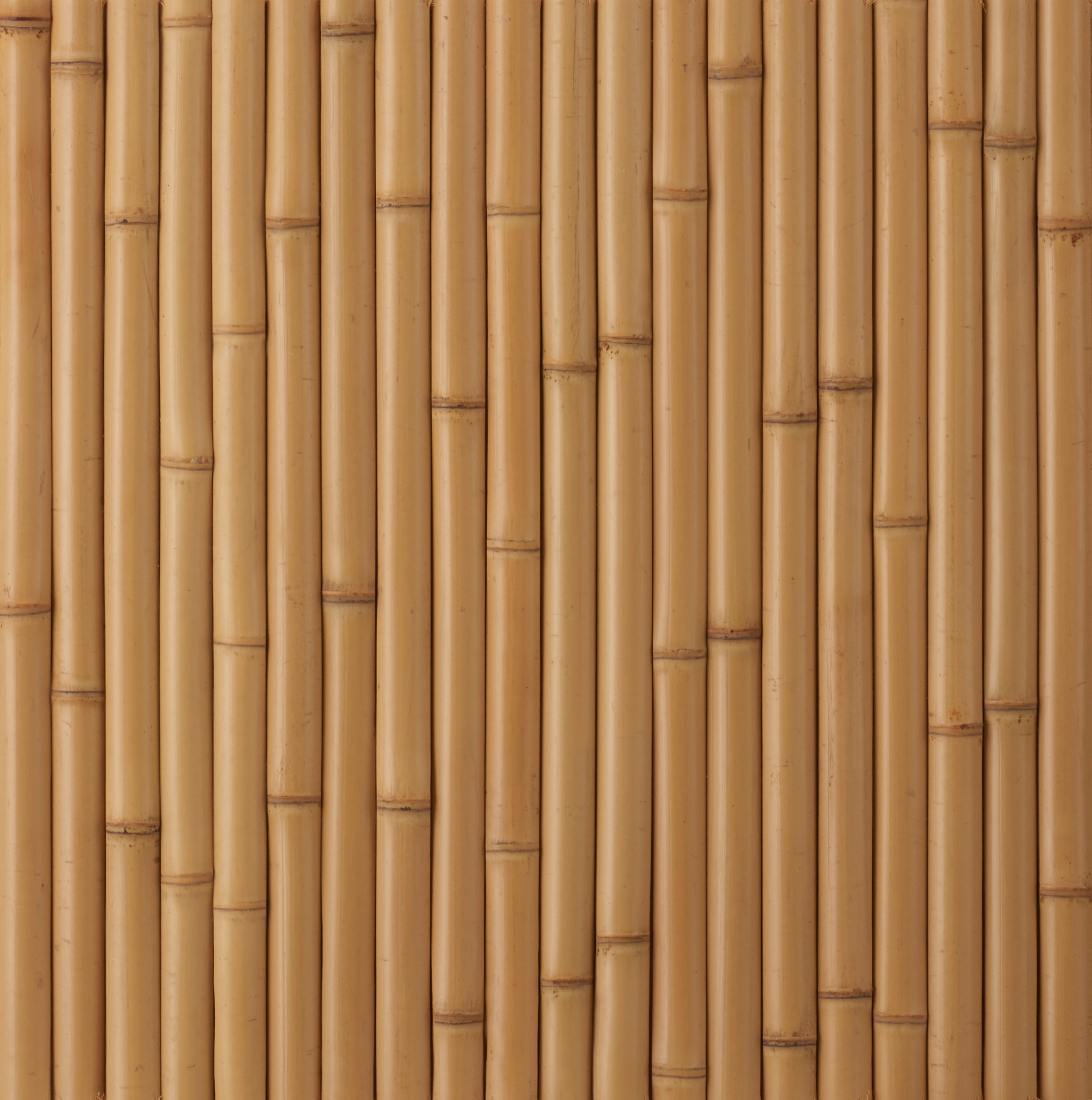 Takesada Bamboo_Hanwari