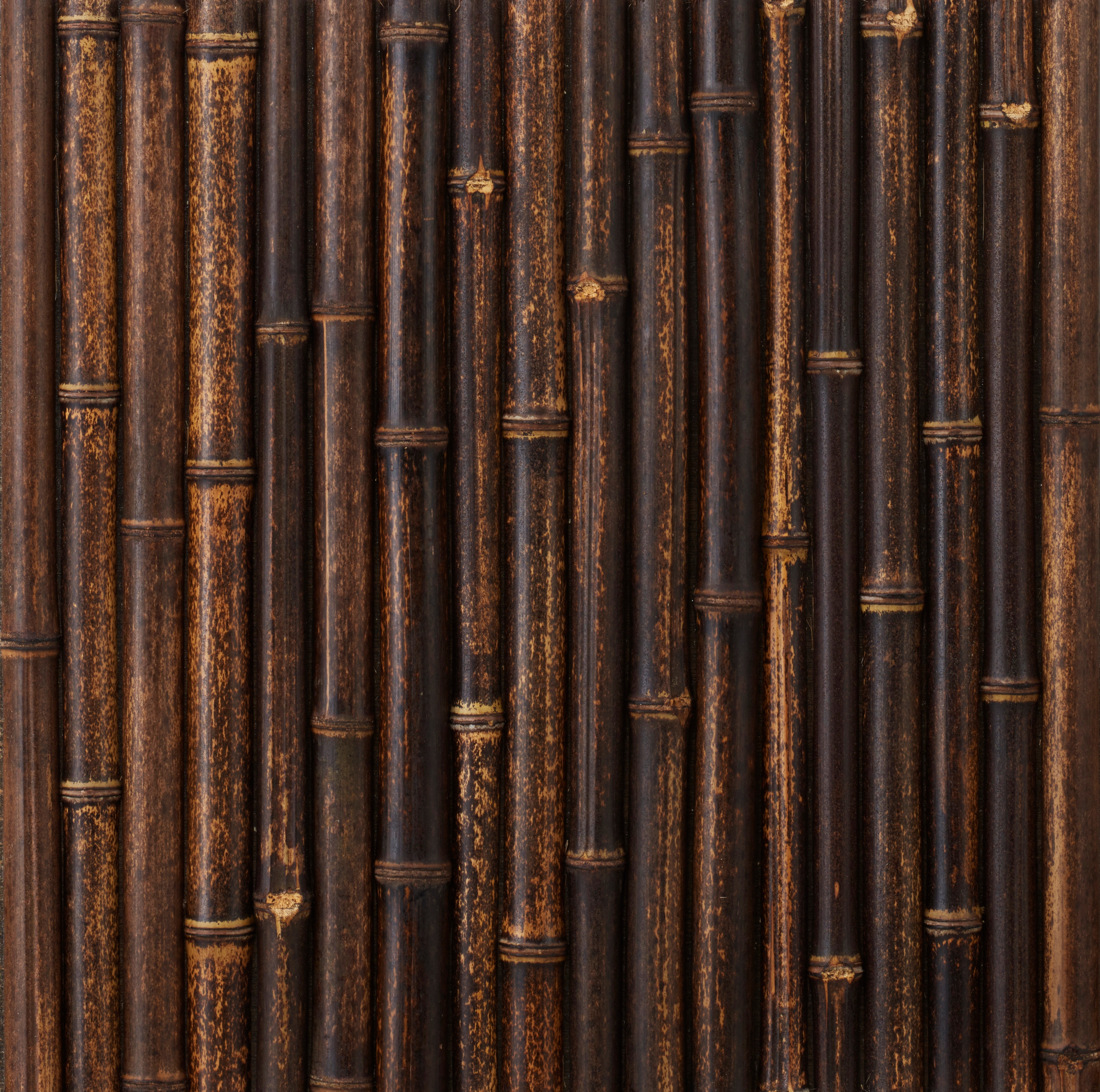 Takesada Bamboo_Hanwari