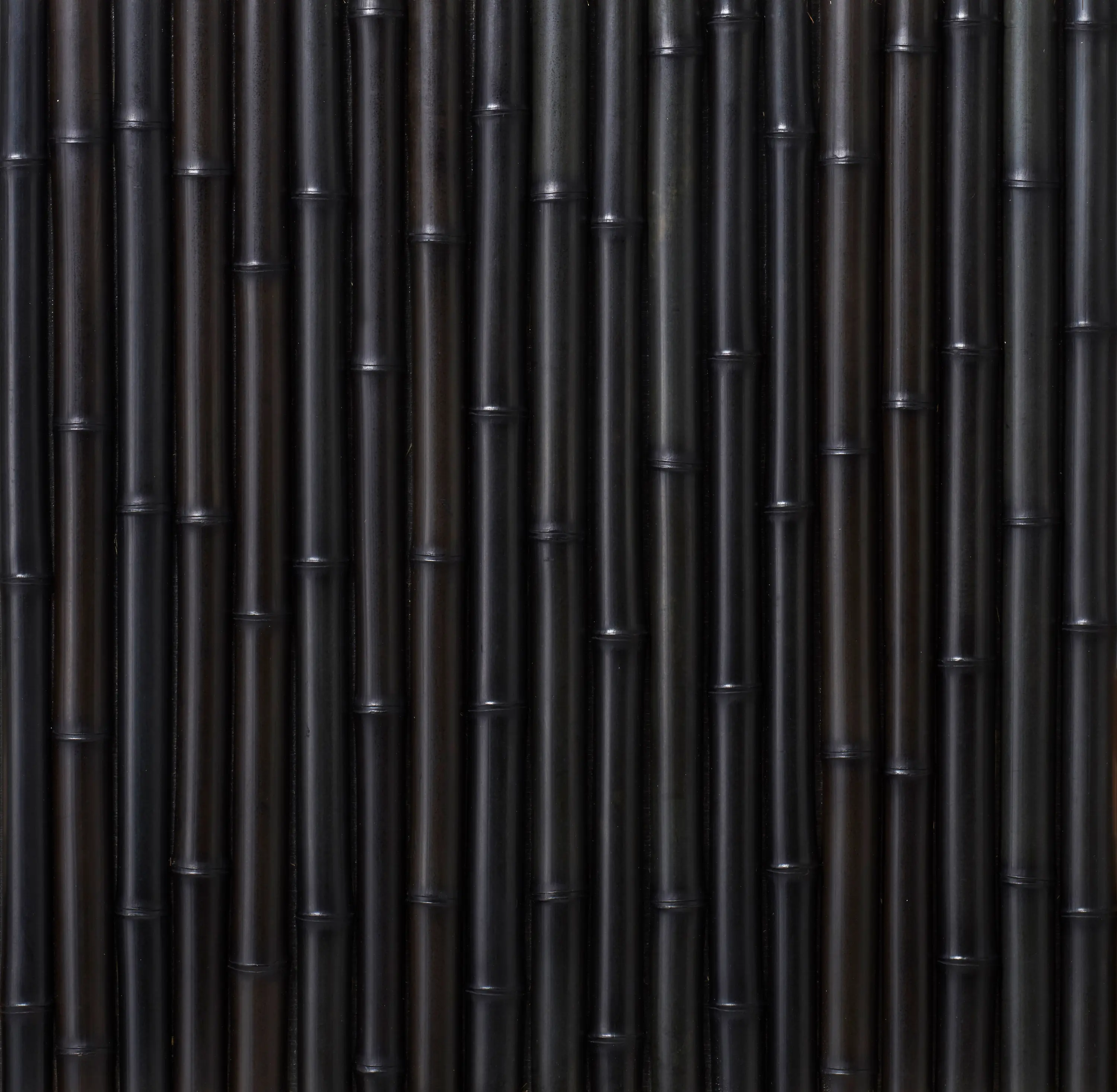 Hiyoshiya - Takesada Bamboo_Hanwari