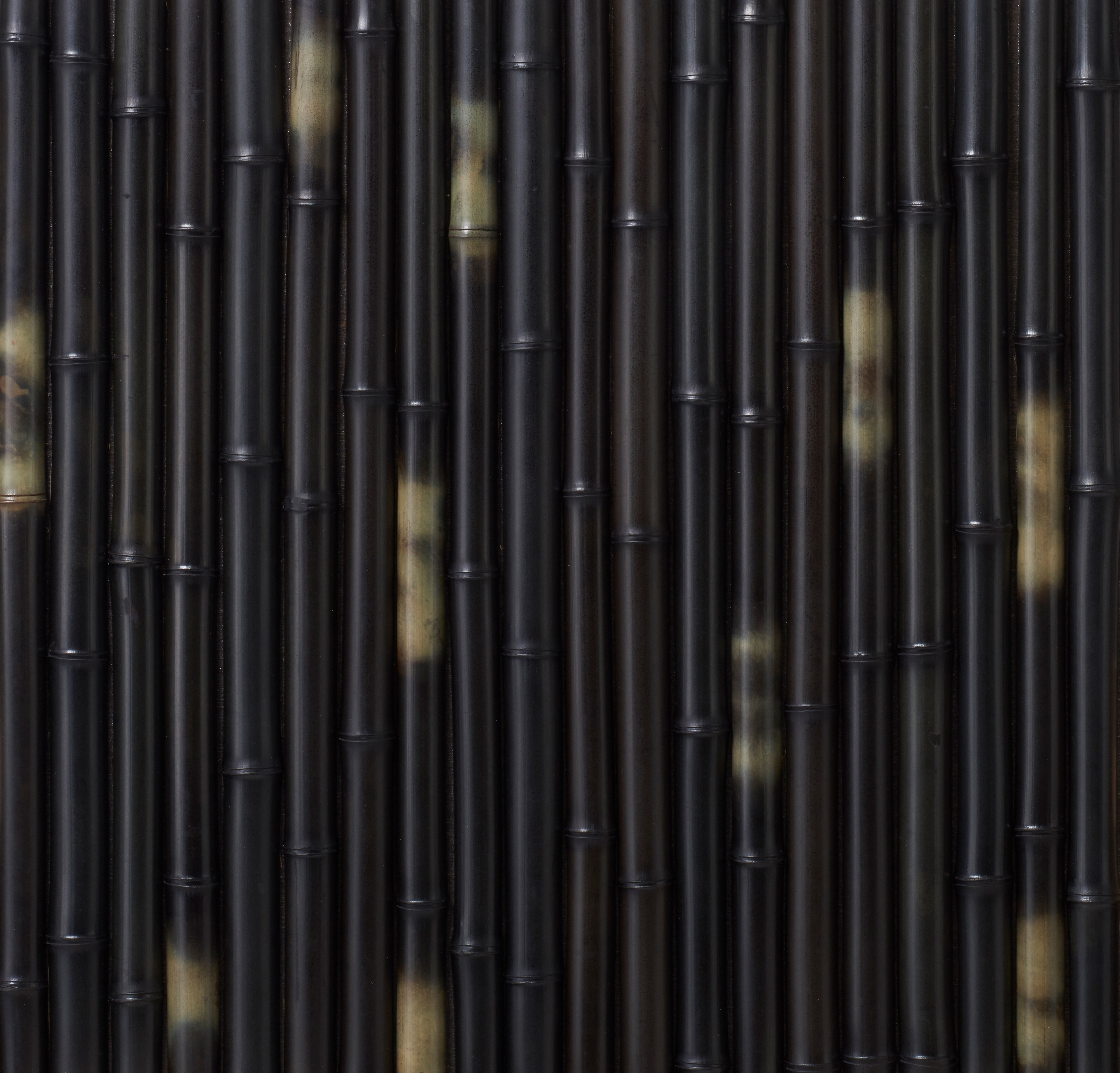 Takesada Bamboo_Hanwari