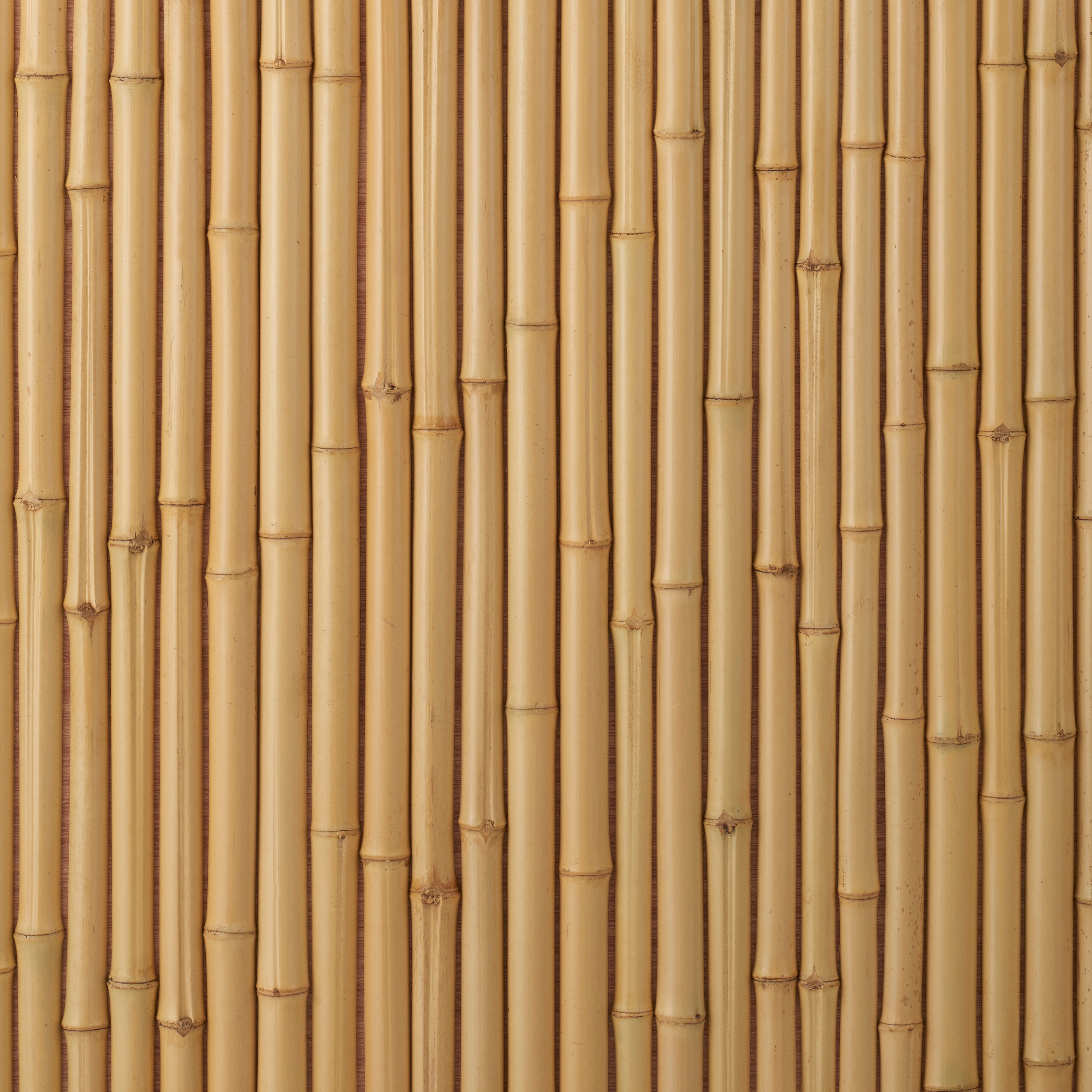Takesada Bamboo_Hanwari