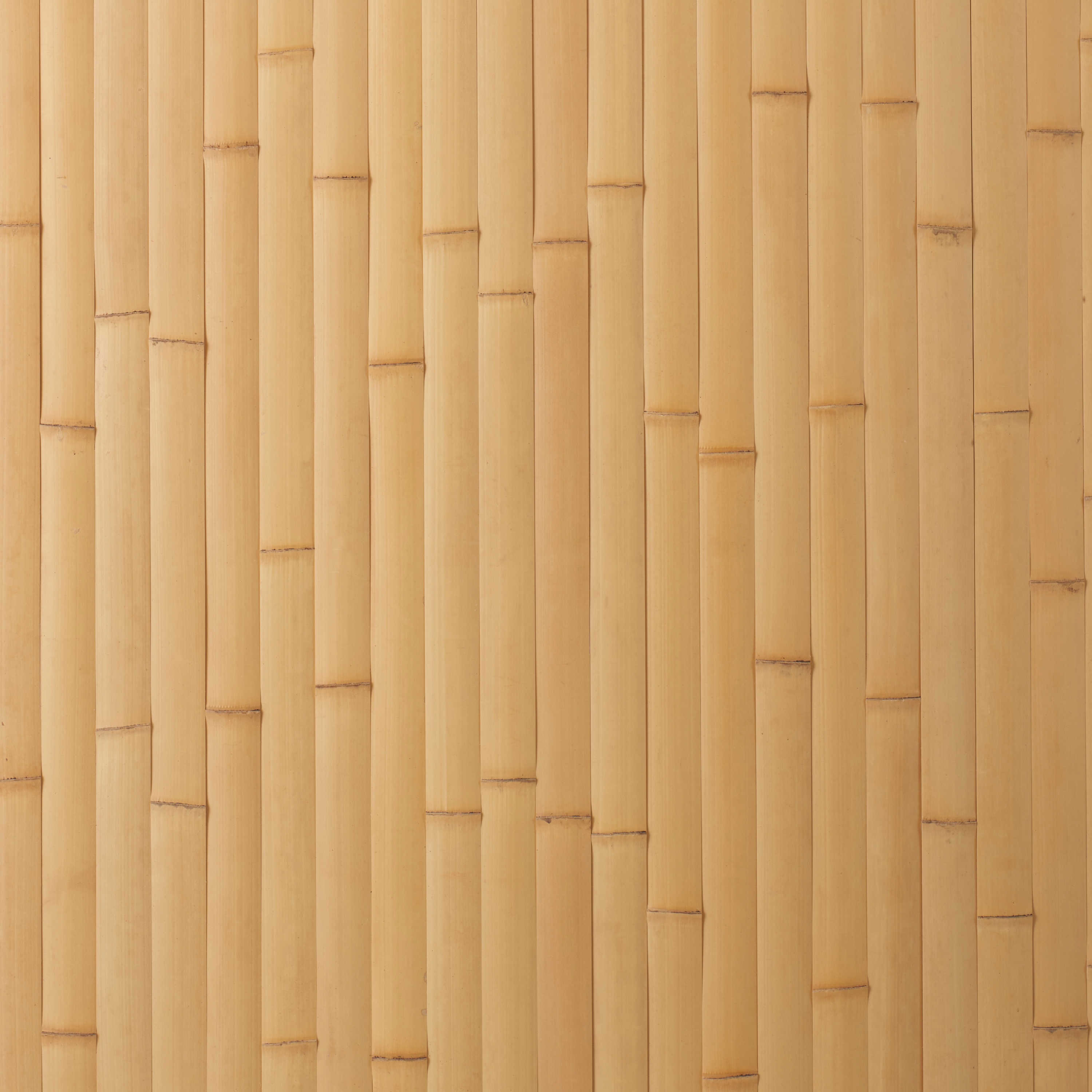 Takesada Bamboo_Hirawari