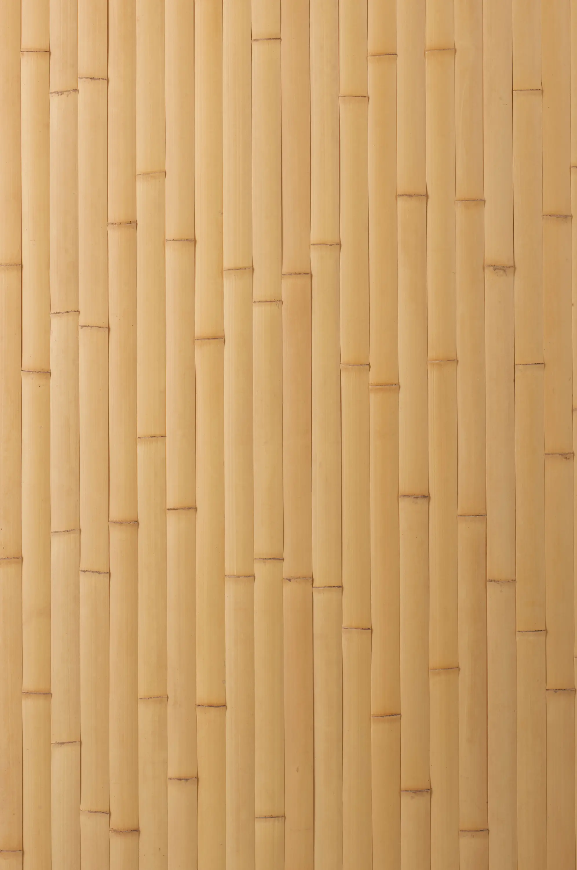 Hiyoshiya - Takesada Bamboo_Hirawari