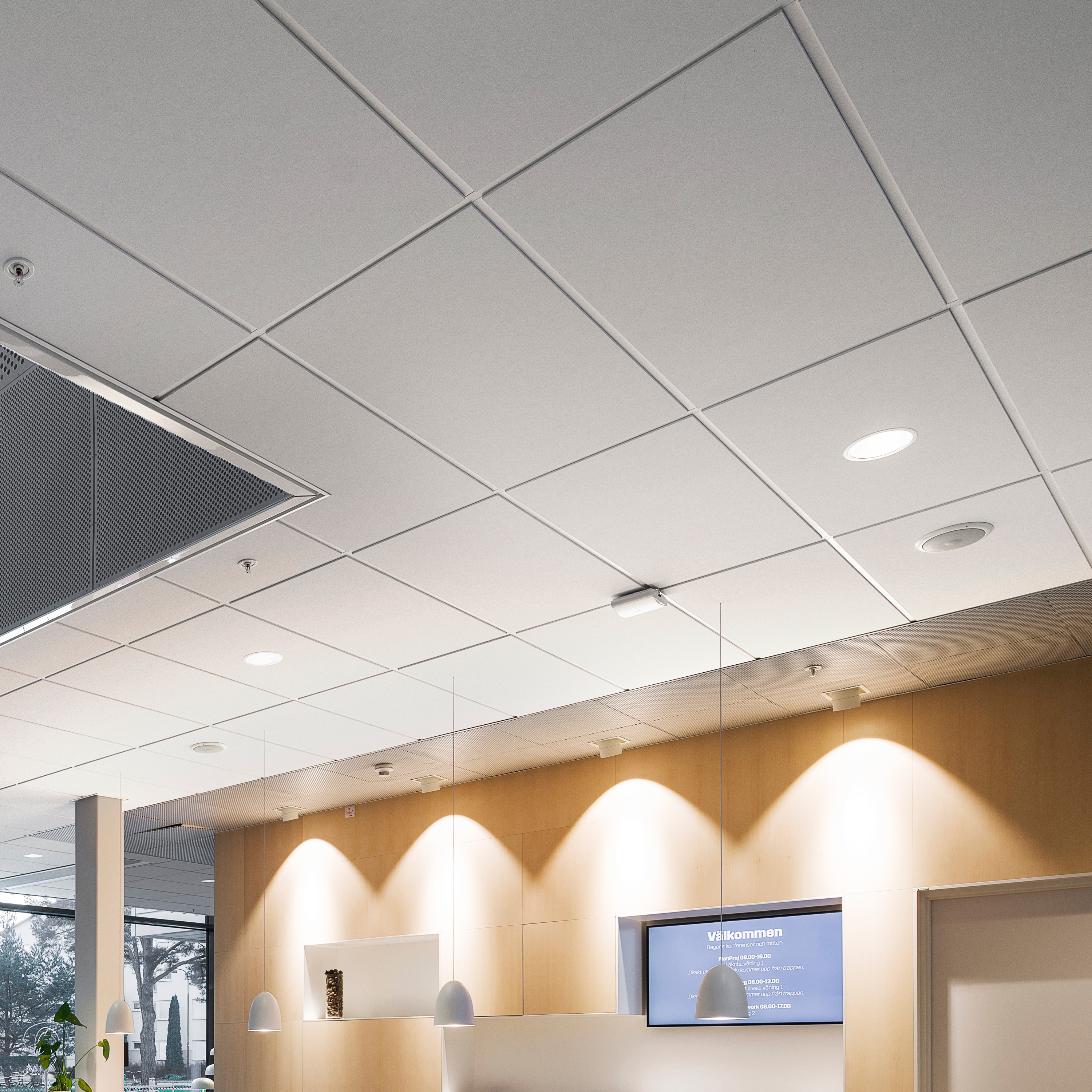 Display product Modular Ceilings | Rockfon Blanka® from manufacturer Rockfon
