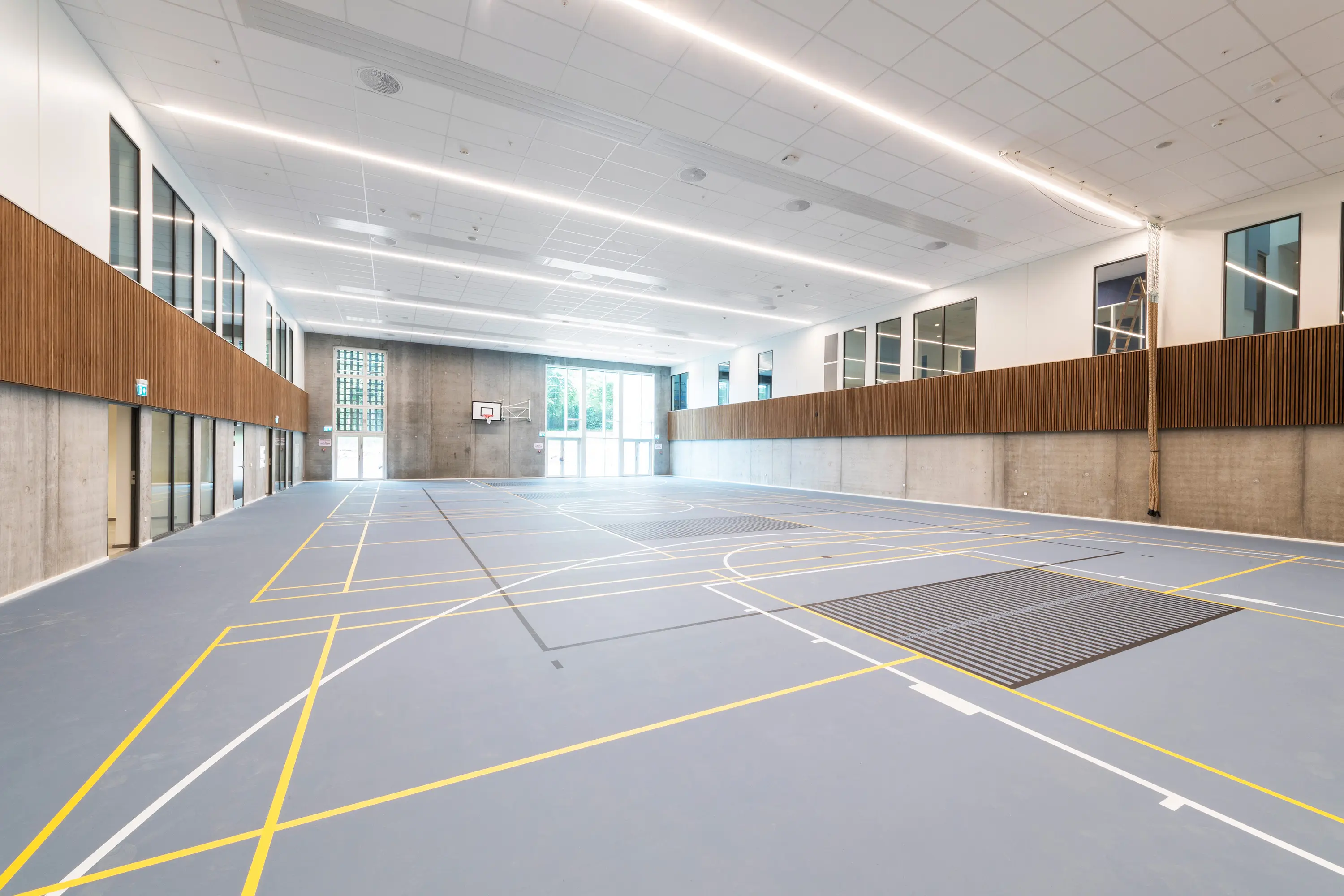 Rockfon - Modular Ceilings | Rockfon® Boxer™