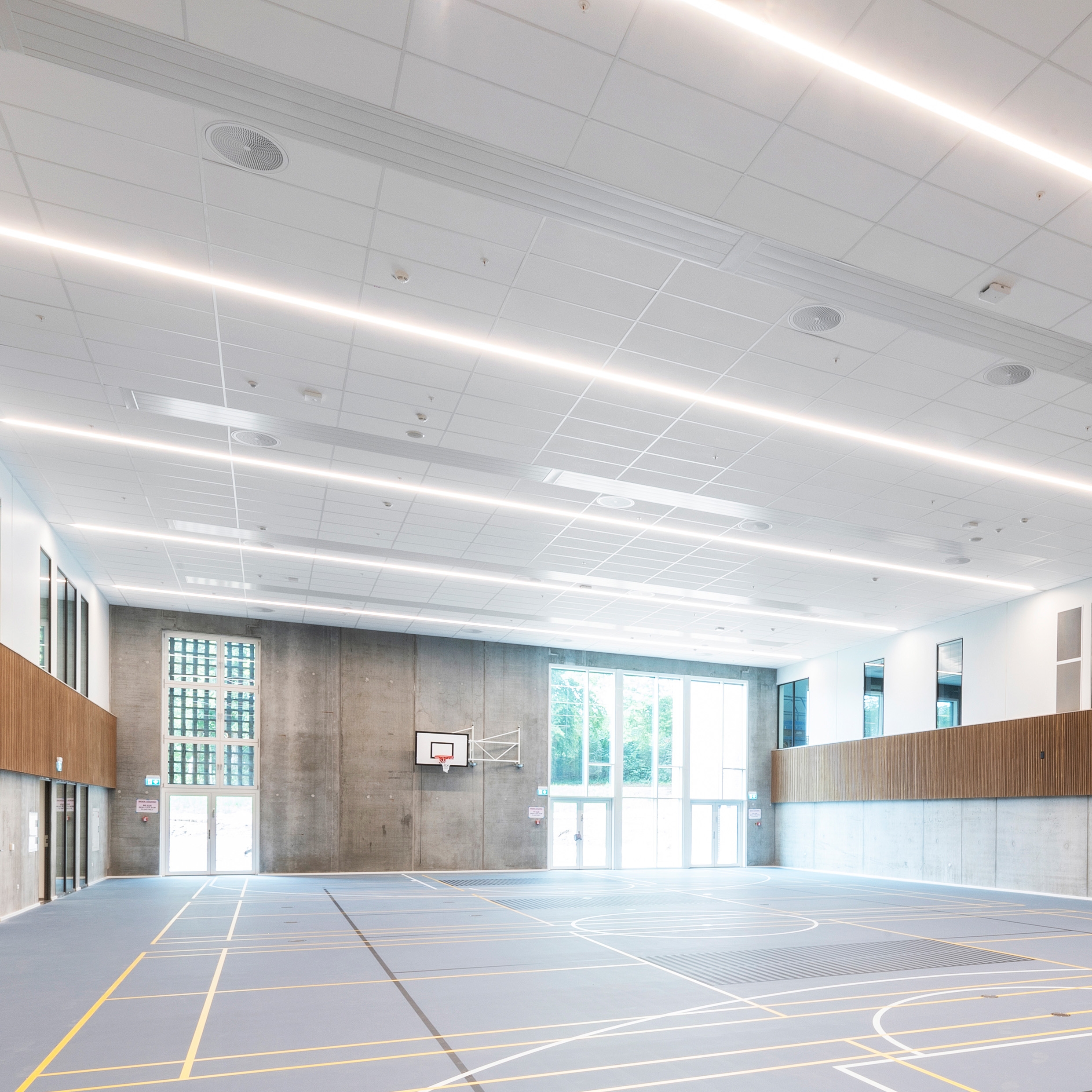 Display product Modular Ceilings | Rockfon® Boxer™ from manufacturer Rockfon