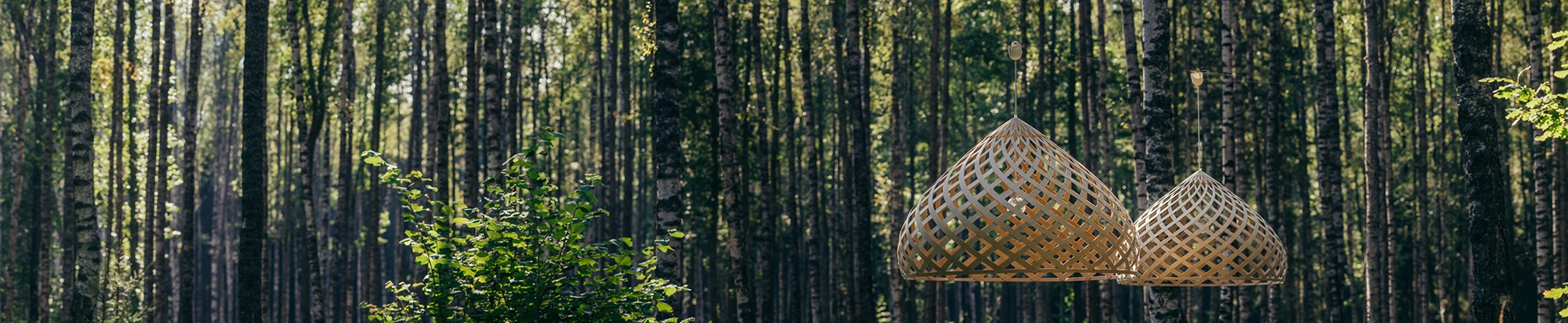 Discover the world of manufacturer Jaanus Orgusaar