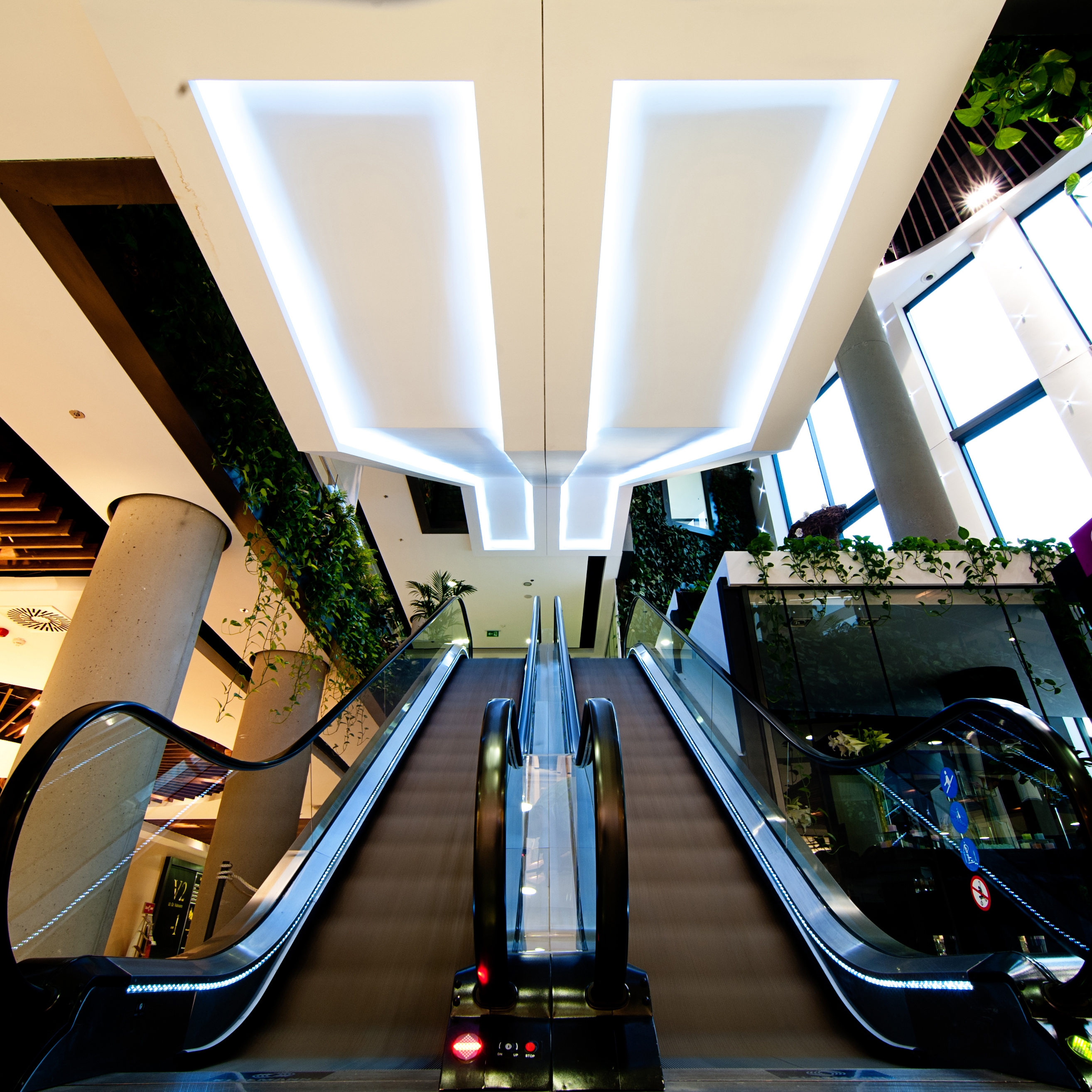 ESCALATORS & MOVING WALKS