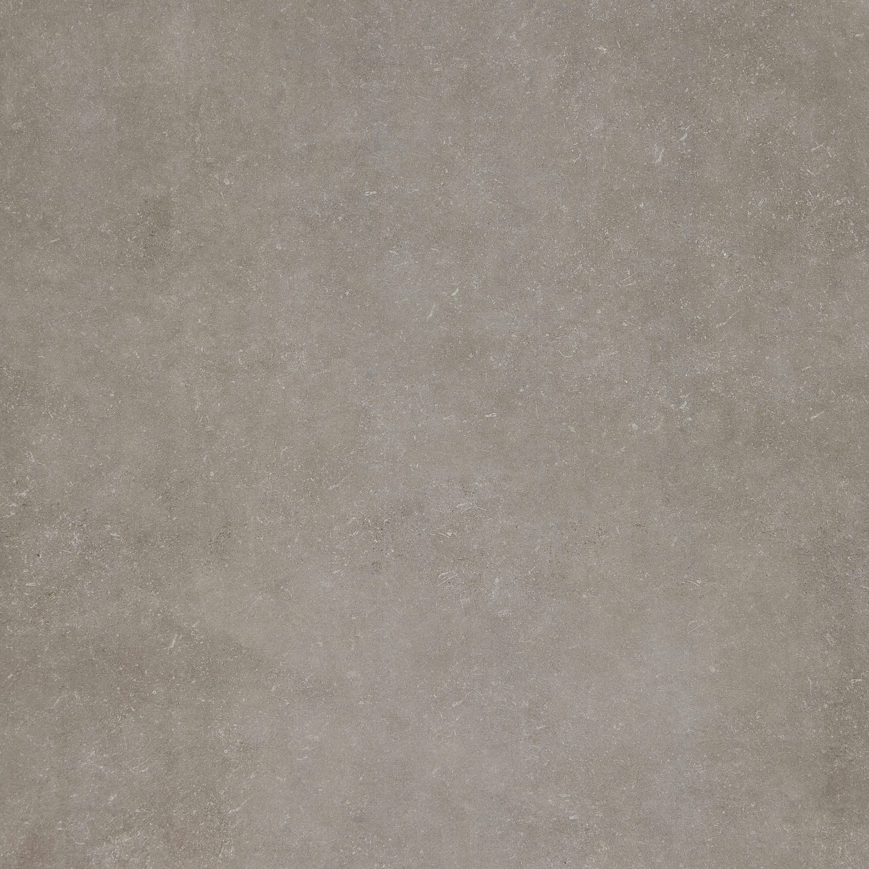 FLANDERS cement 100x100/06