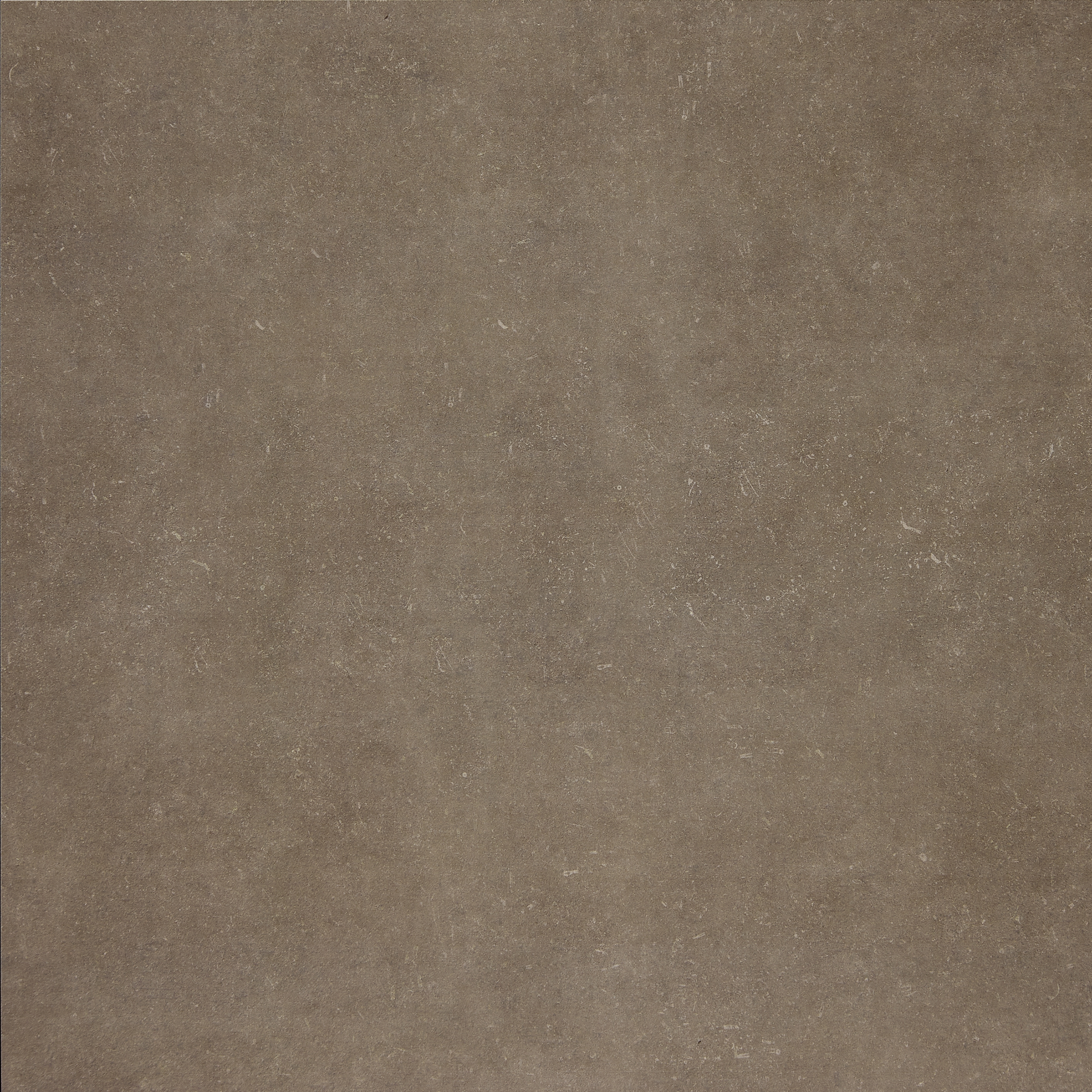 FLANDERS tobacco 100x100/06