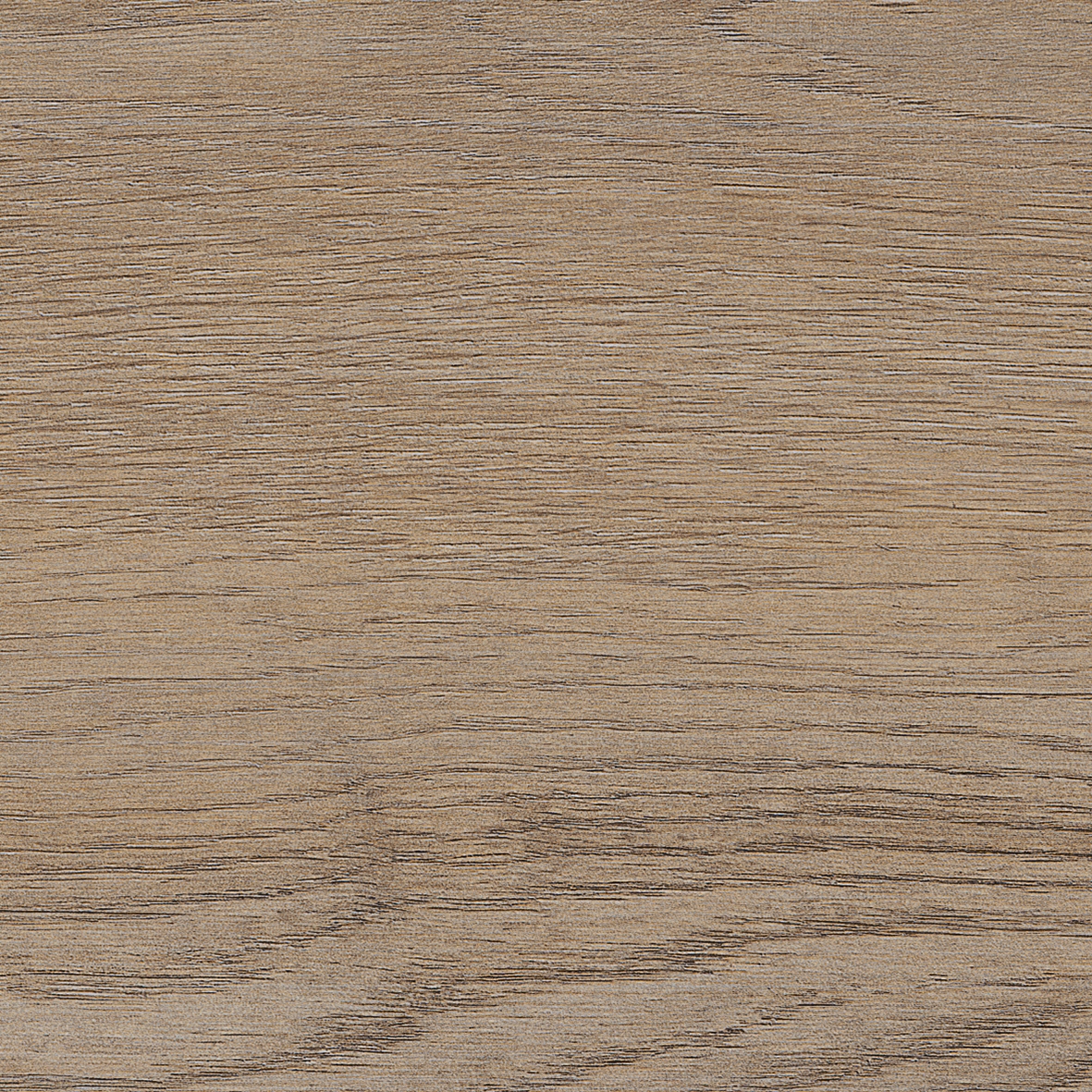 SUMMERVILLE nature 20x120