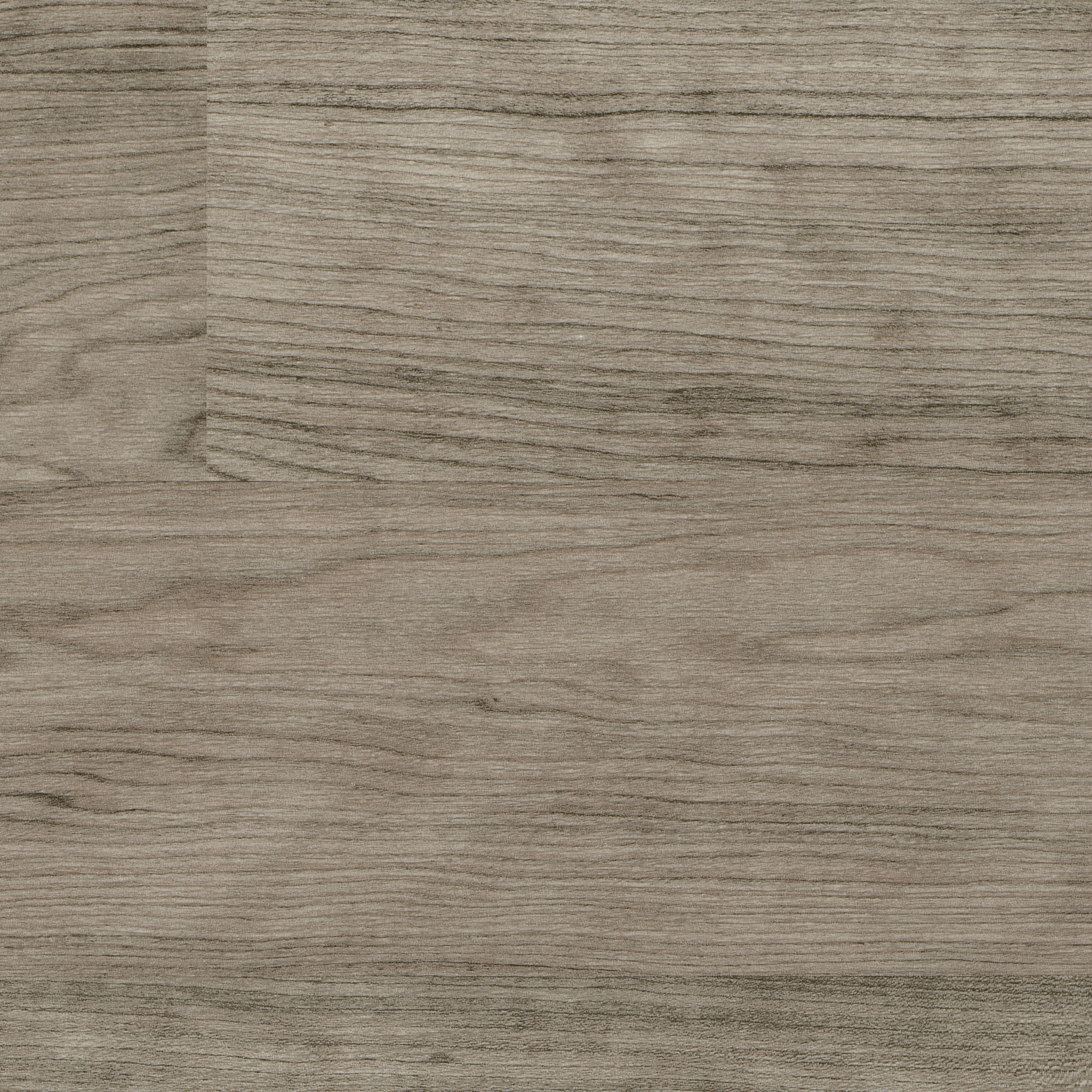 Altro Cantata™ Dusky Cherry