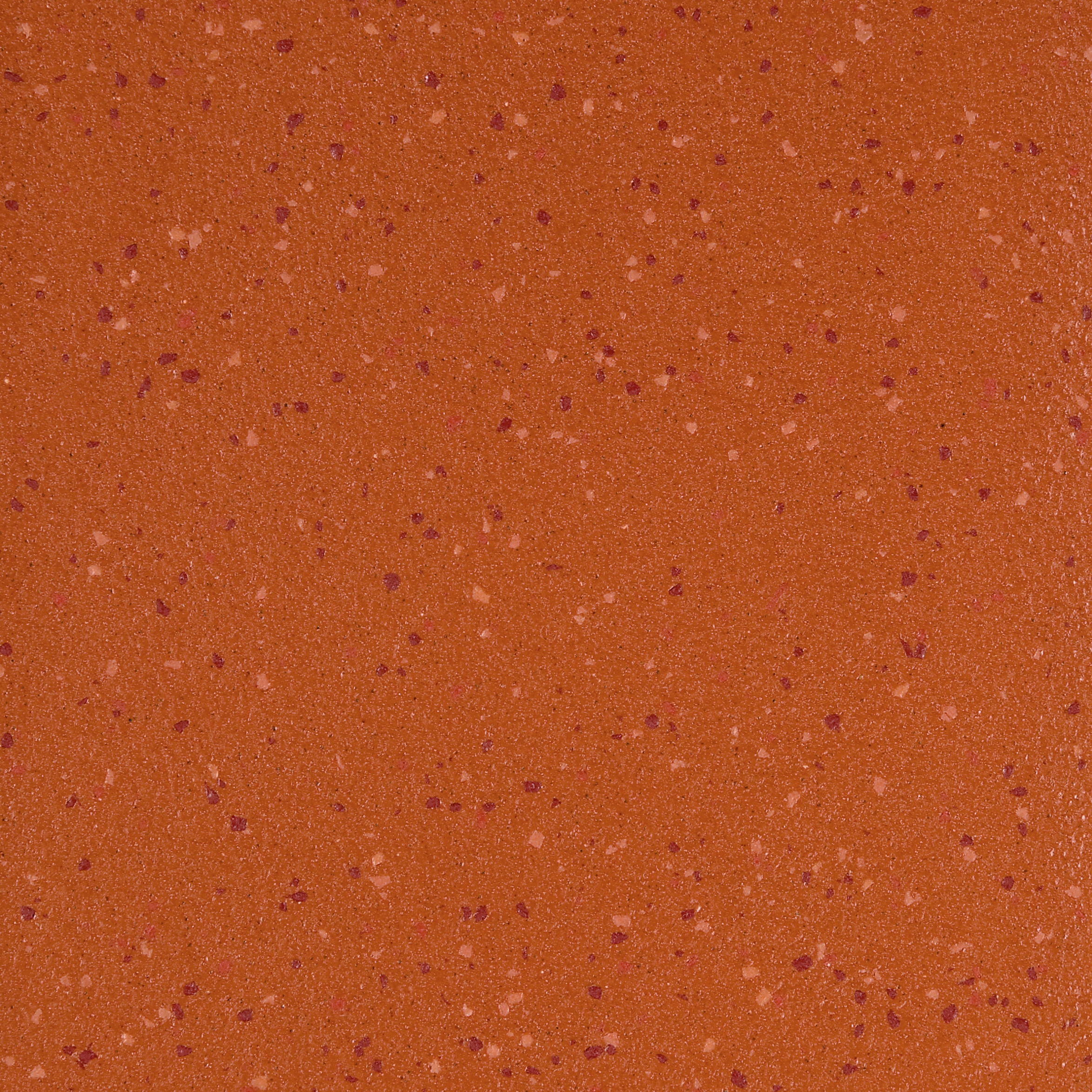 Altro Aquarius™ Coral Crab