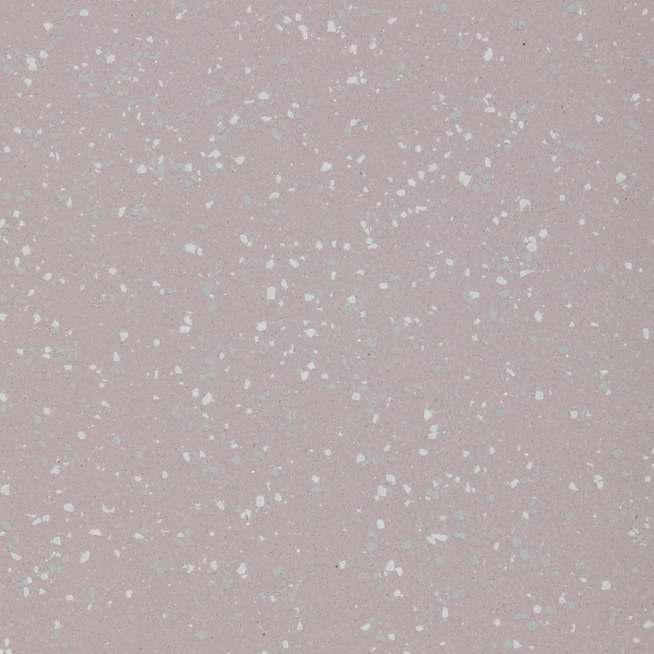 Altro Aquarius™ Salamander