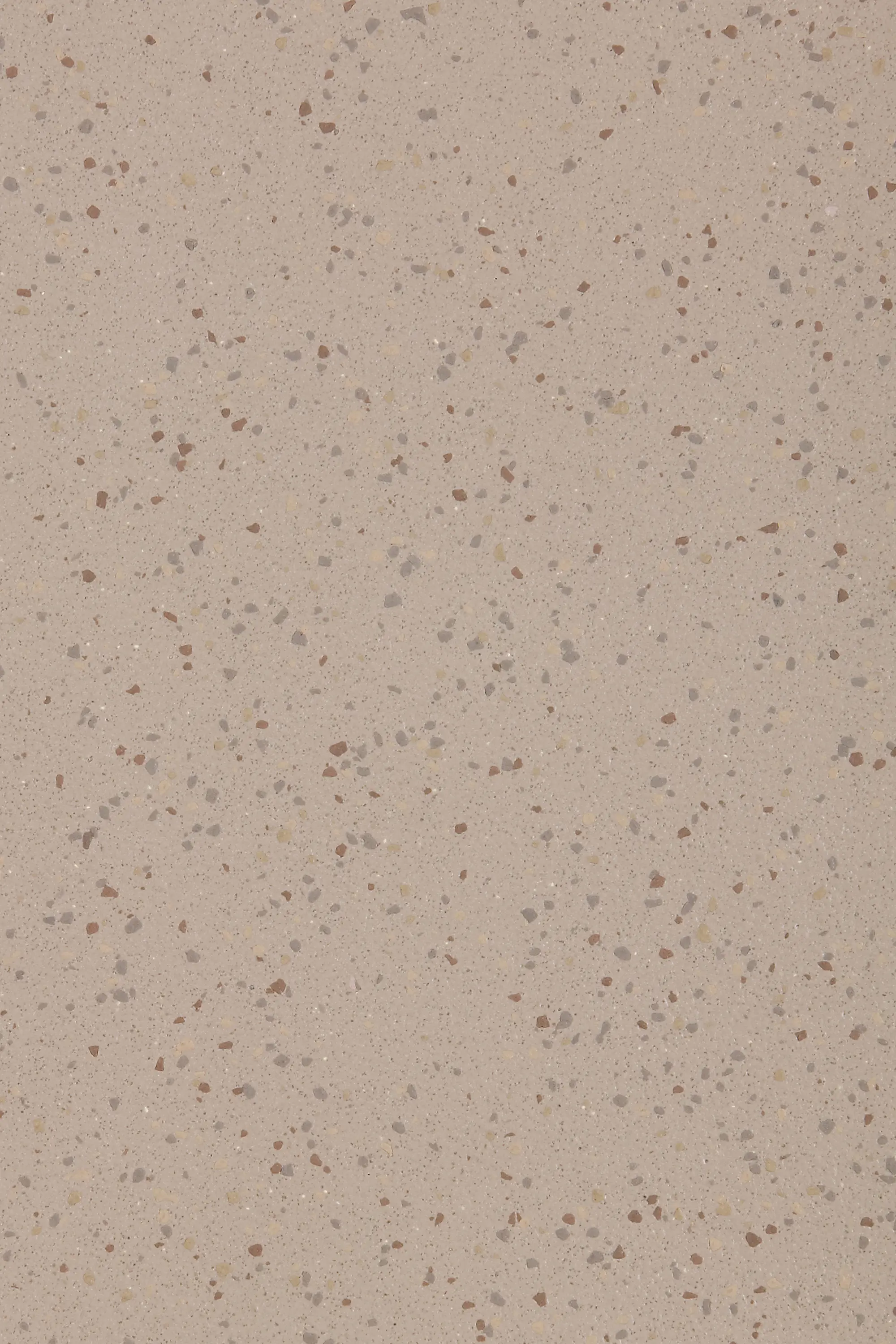 Altro - Altro Aquarius™ Terrapin