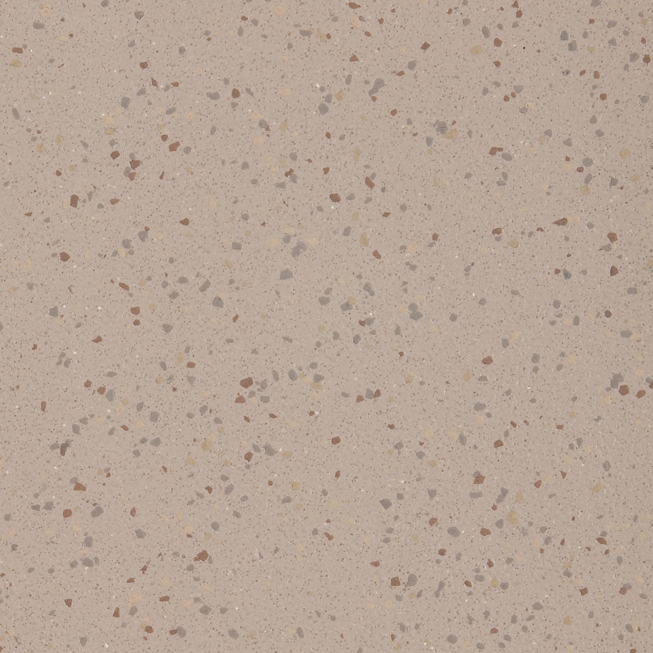 Altro Aquarius™ Terrapin