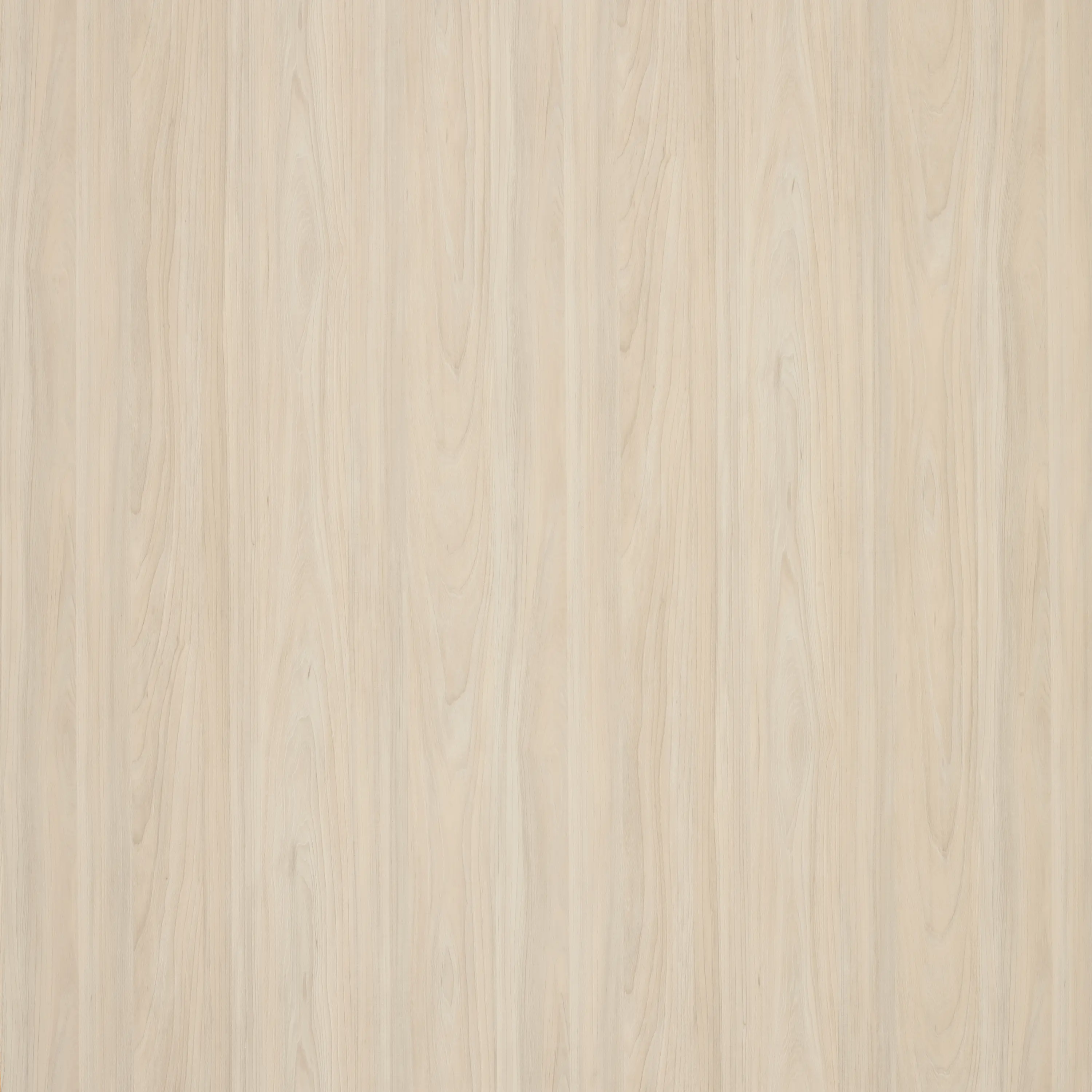 Altro - Altro Whiterock™ wall designs 2500x1220 Soft Woodgrain