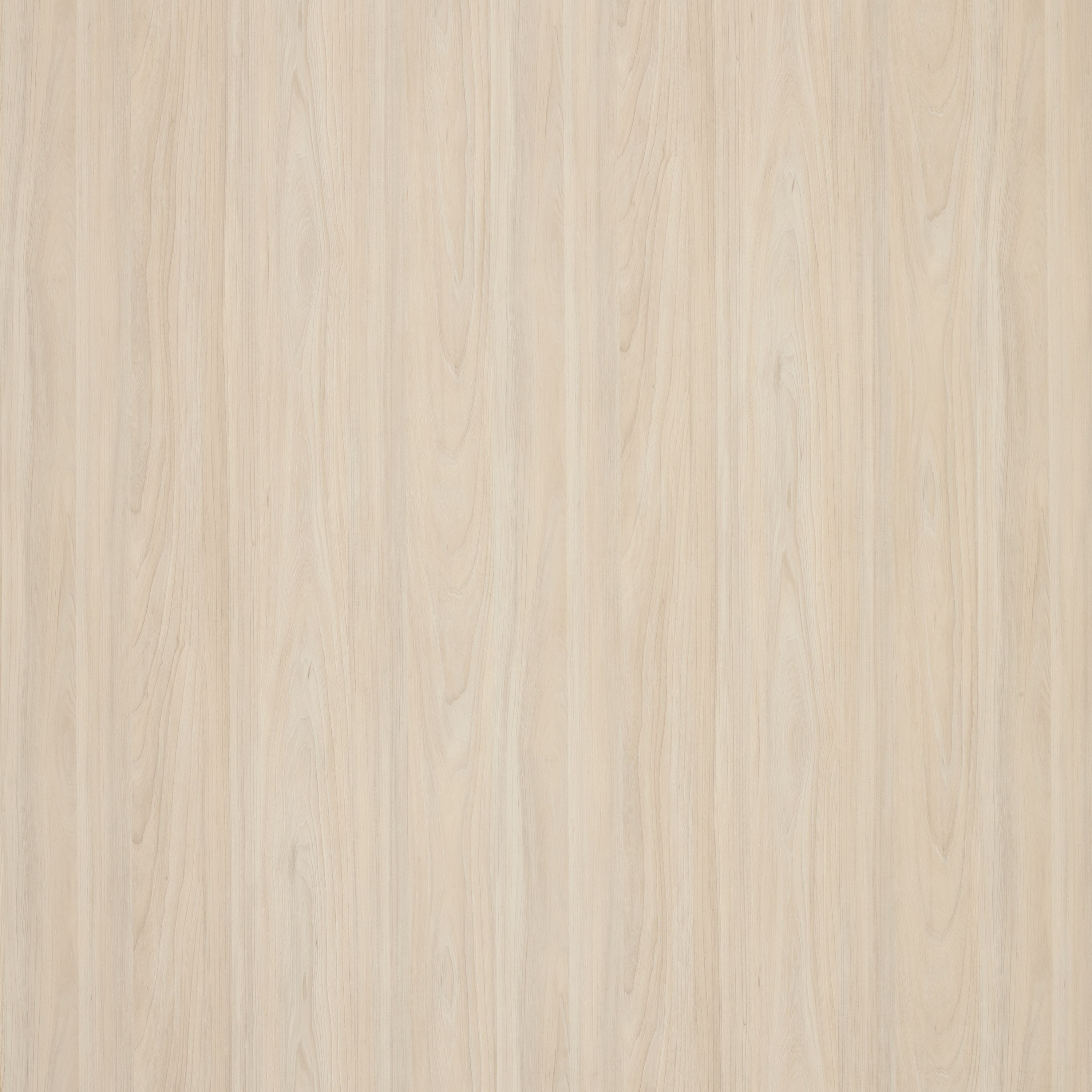 Produkt Altro Whiterock™ wall designs 2500x1220 Soft Woodgrain des Herstellers Altro anzeigen