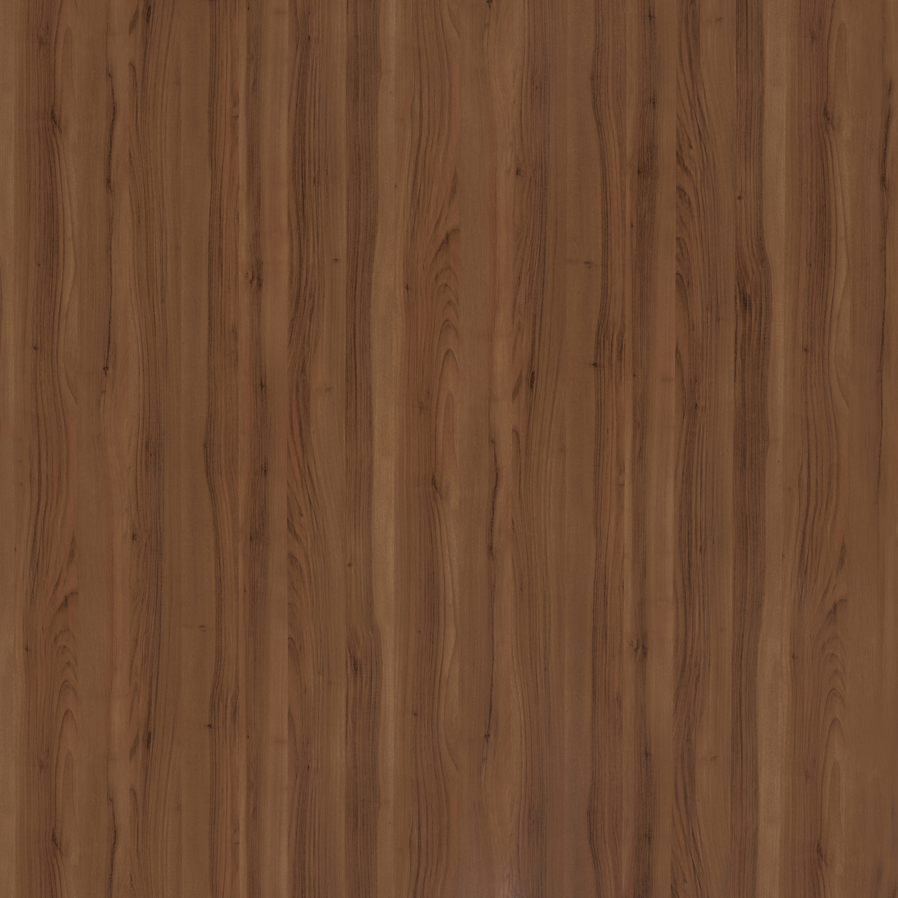 Altro Whiterock™ wall designs 2500x1220 Rich Woodgrain