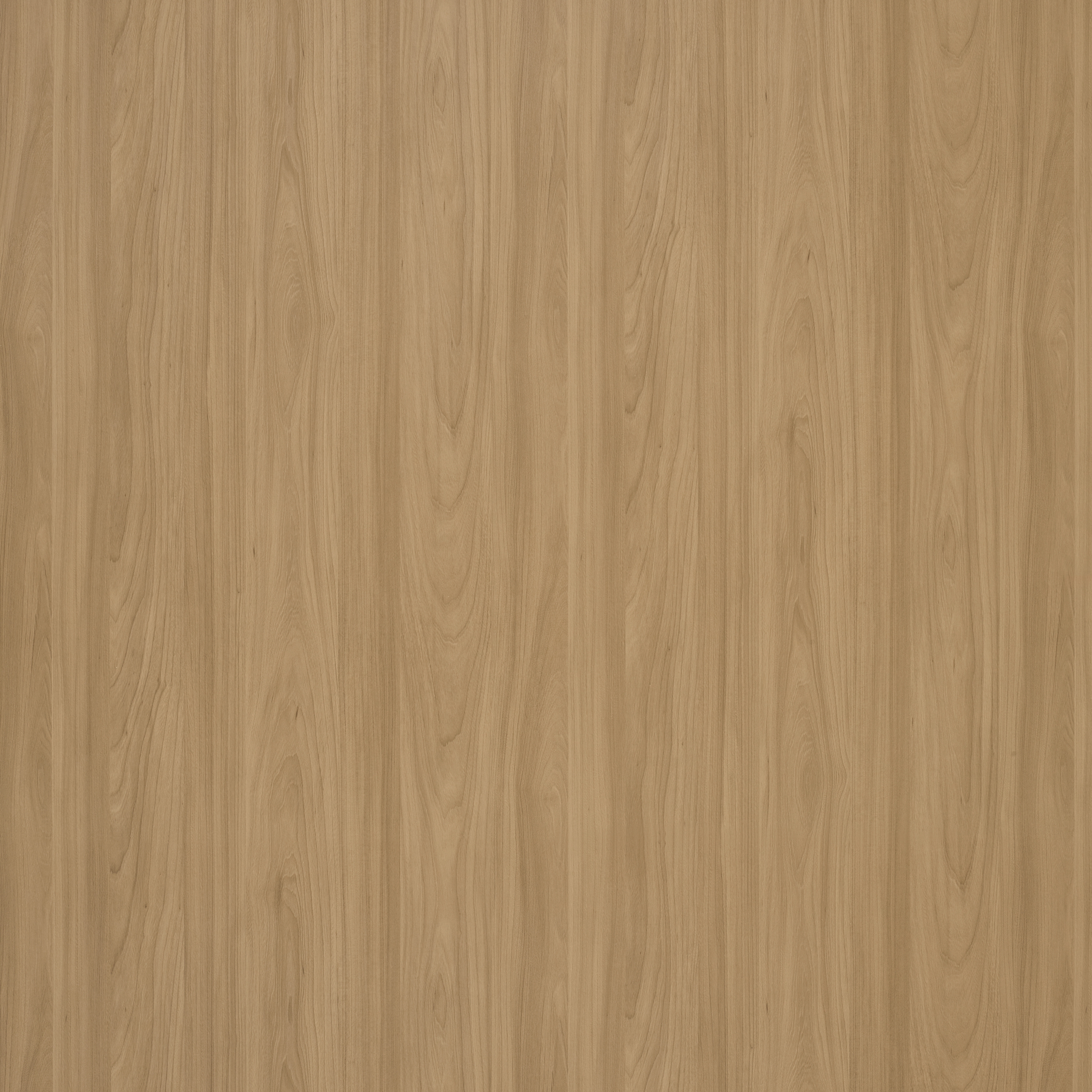 Altro Whiterock™ wall designs 3000x1220 Warm Woodgrain