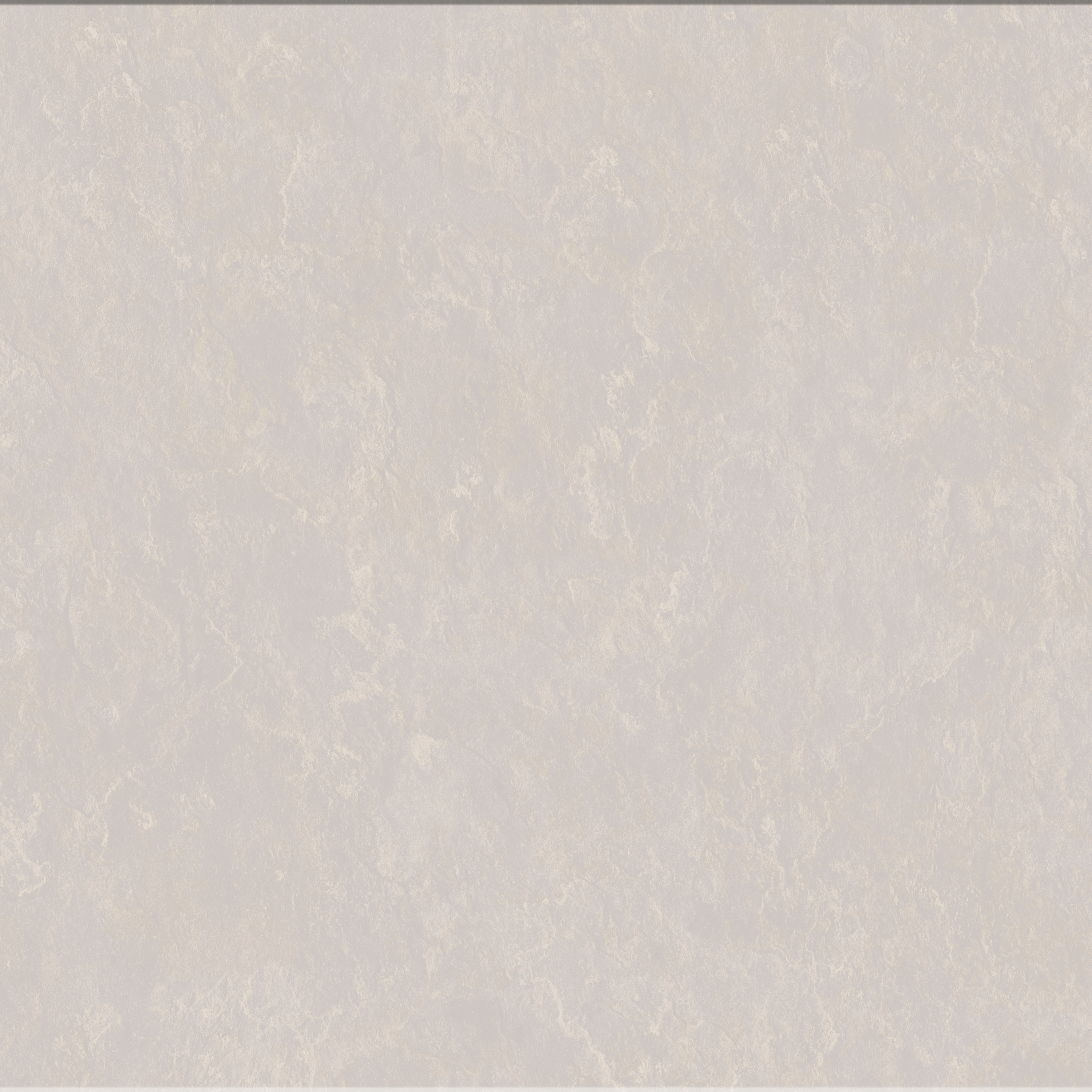 Altro Ensemble™ / M 500 500x1000 Fossil Stone
