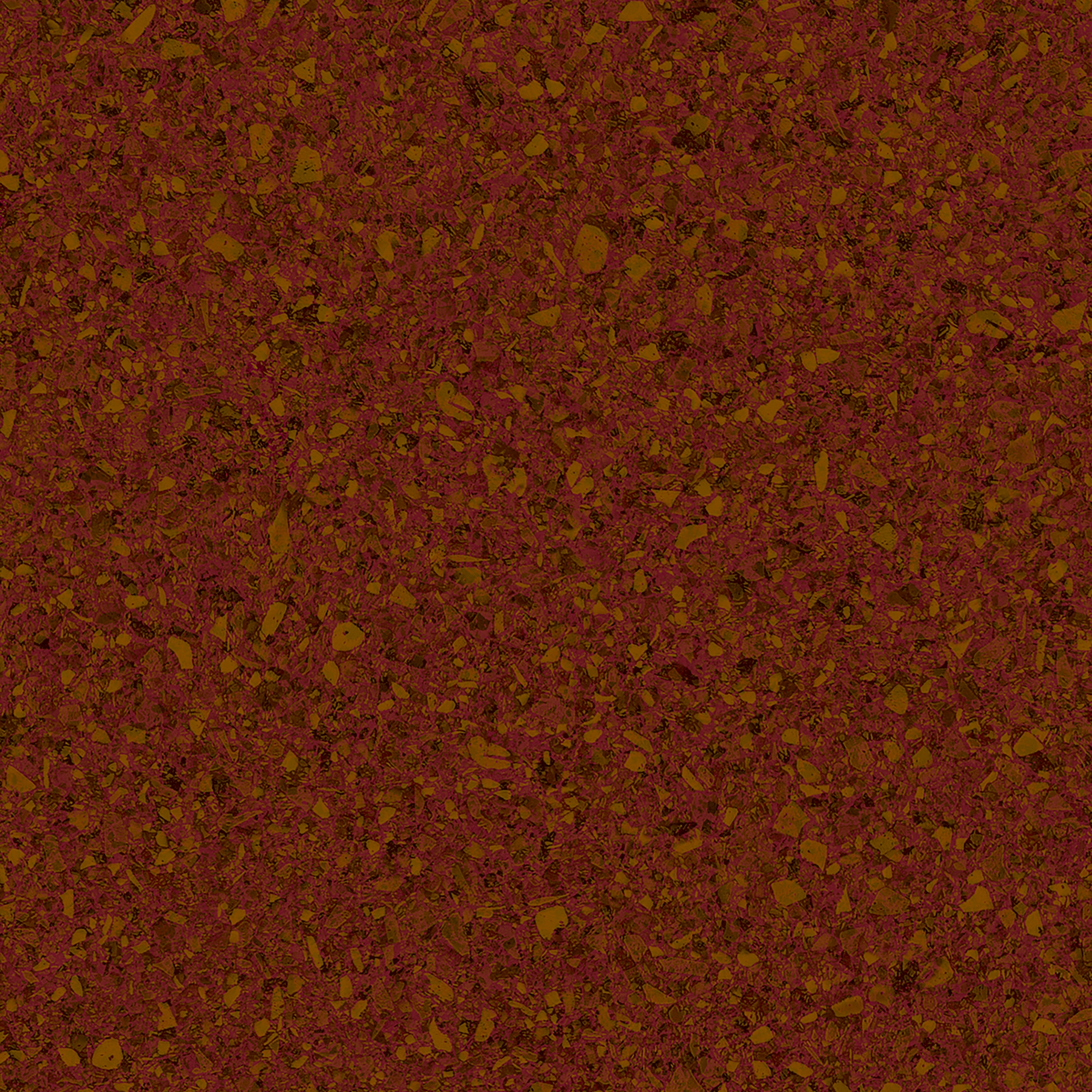 Altro Orchestra™ Orfeo