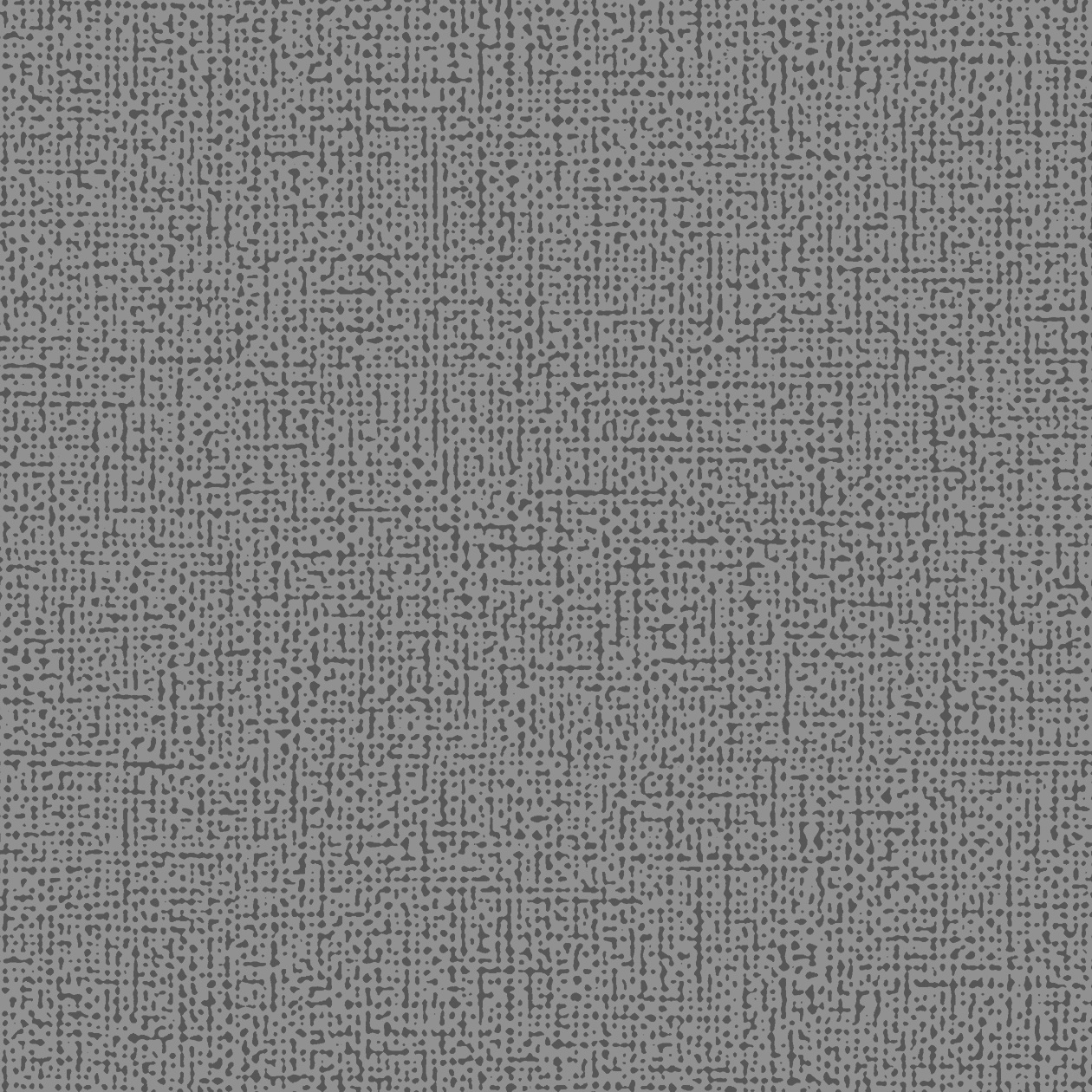 Altro Orchestra™ Polka