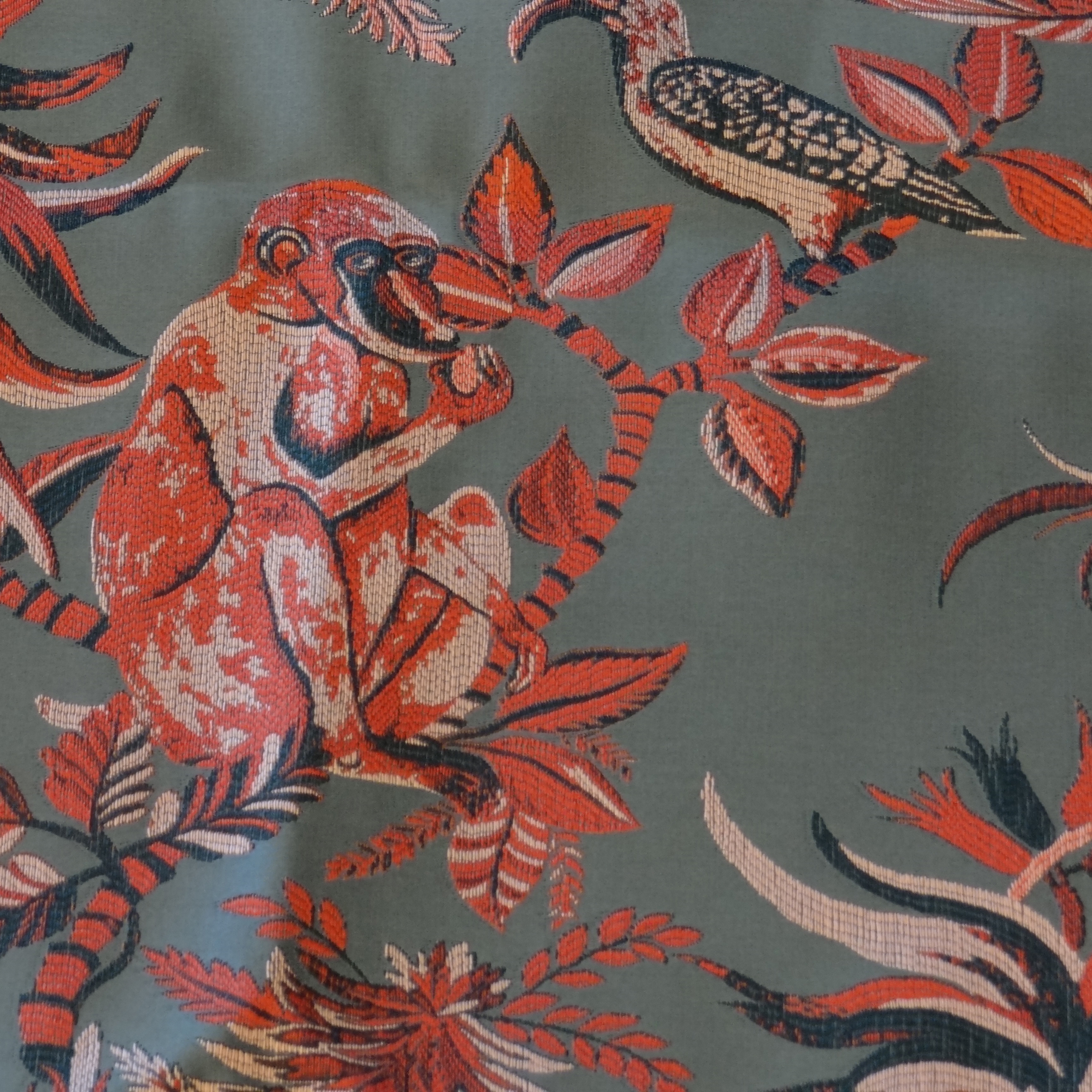 Draperies - Zoo