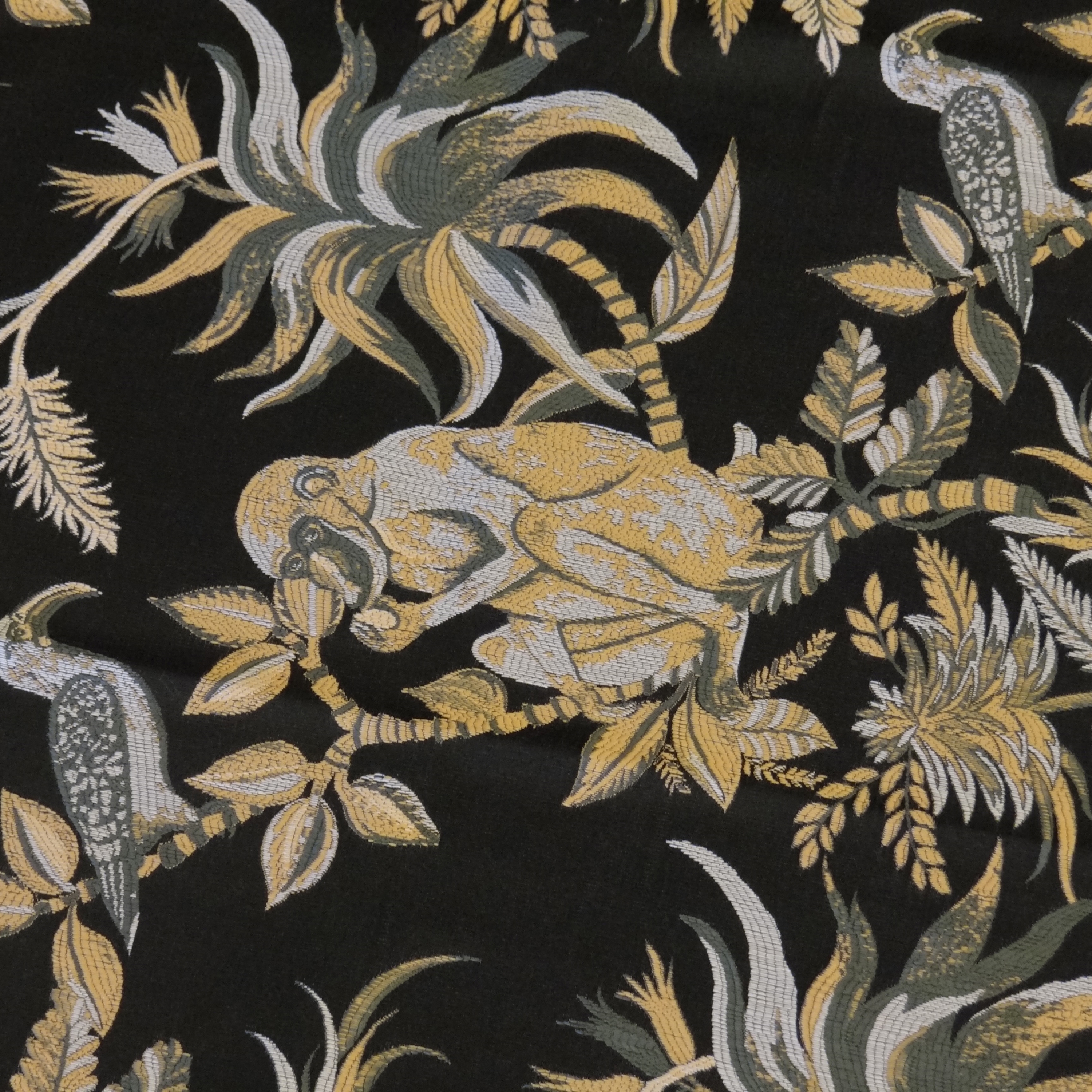 Draperies - Zoo