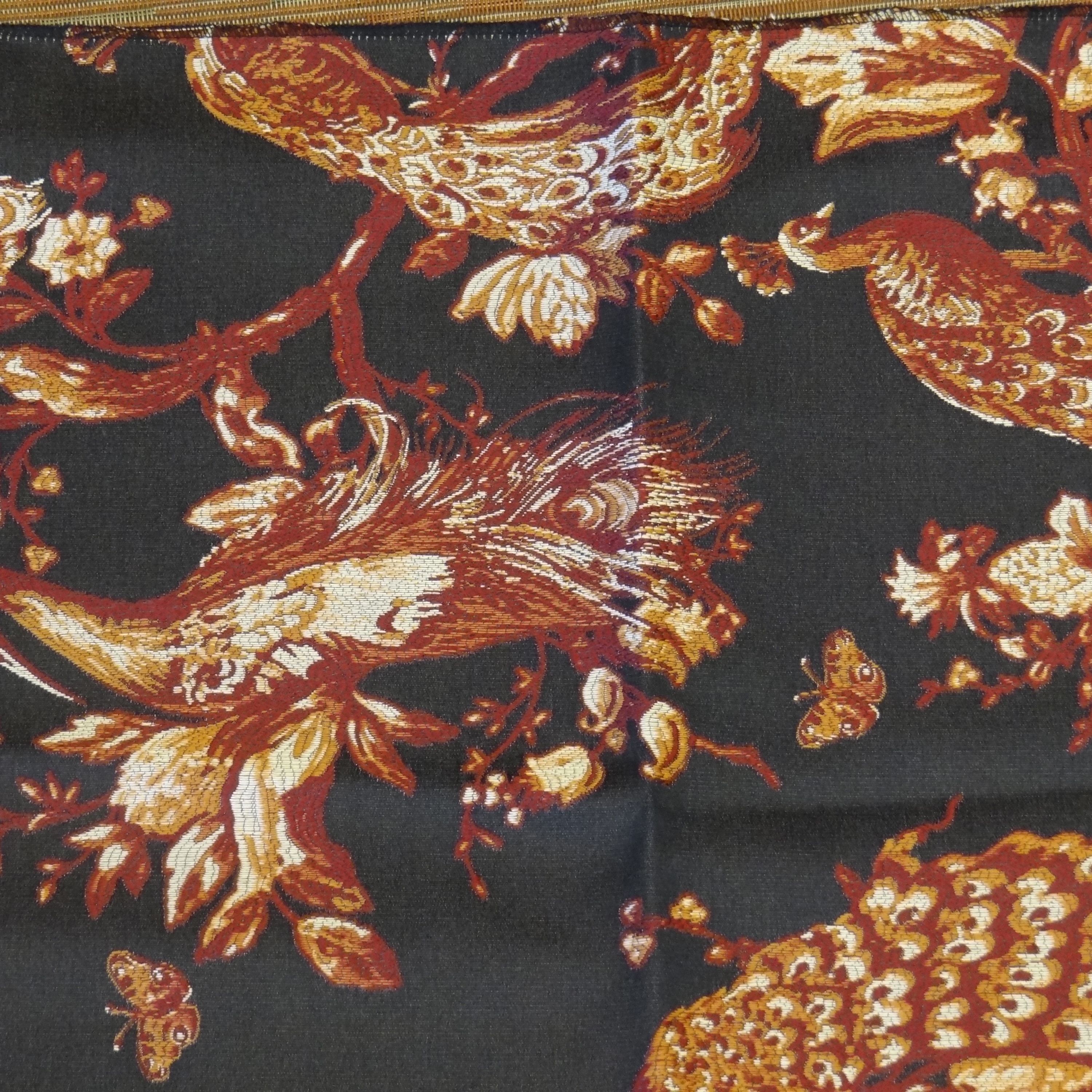 Draperies - Zoo