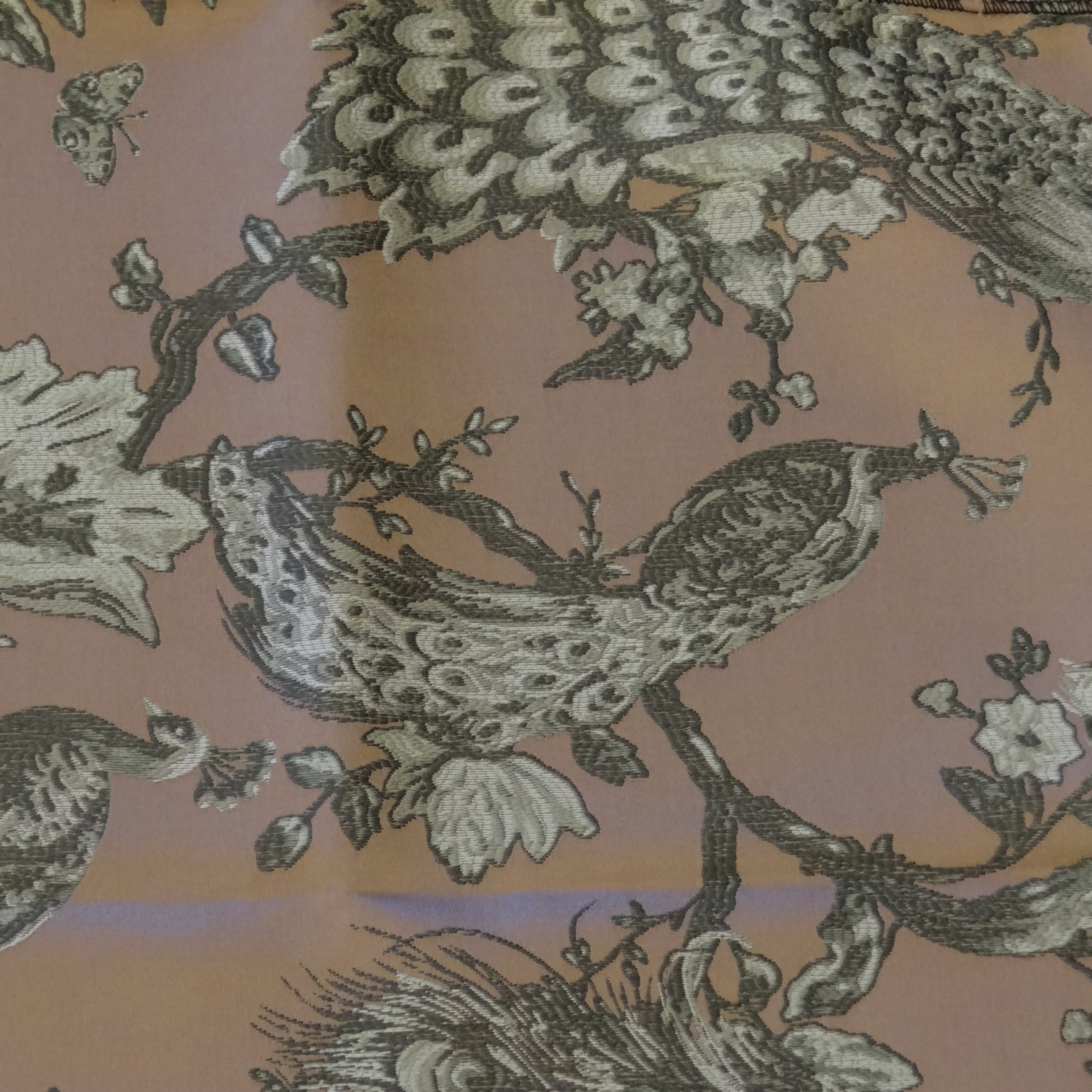 Draperies - Zoo
