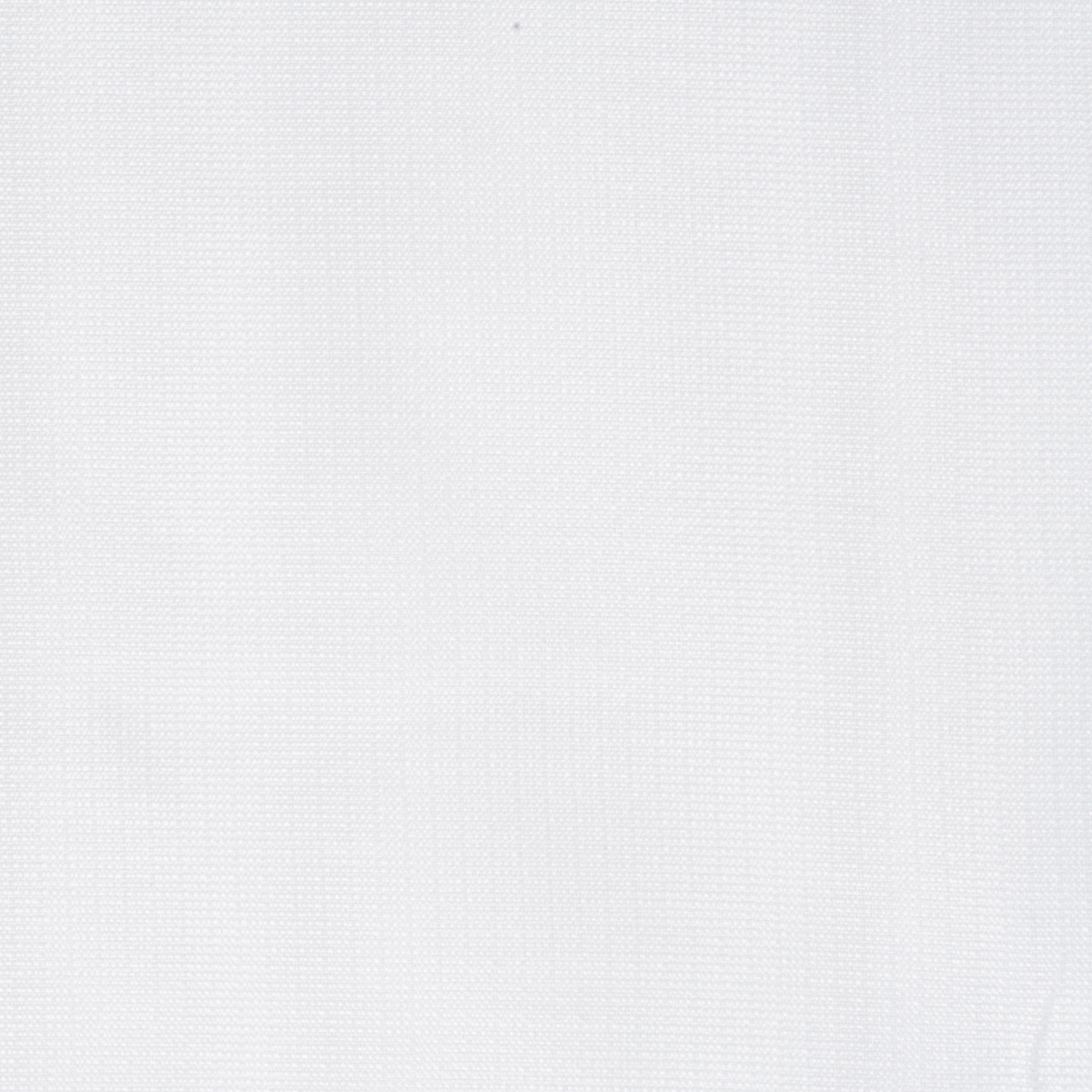 Mostrar el producto Sheers - 2466 del fabricante The Fabulous Group