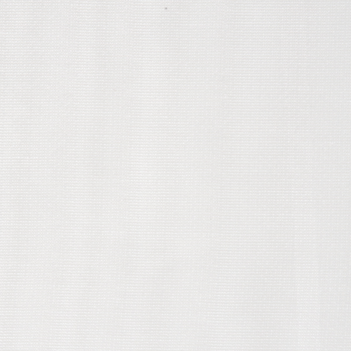 Sheers - 2466