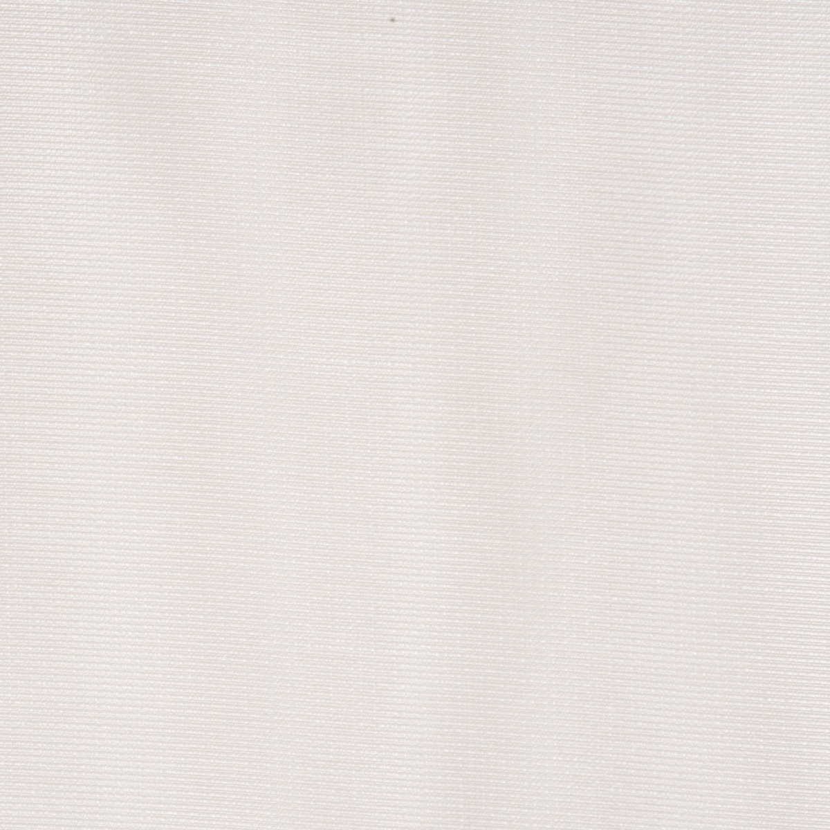 Sheers - 2466