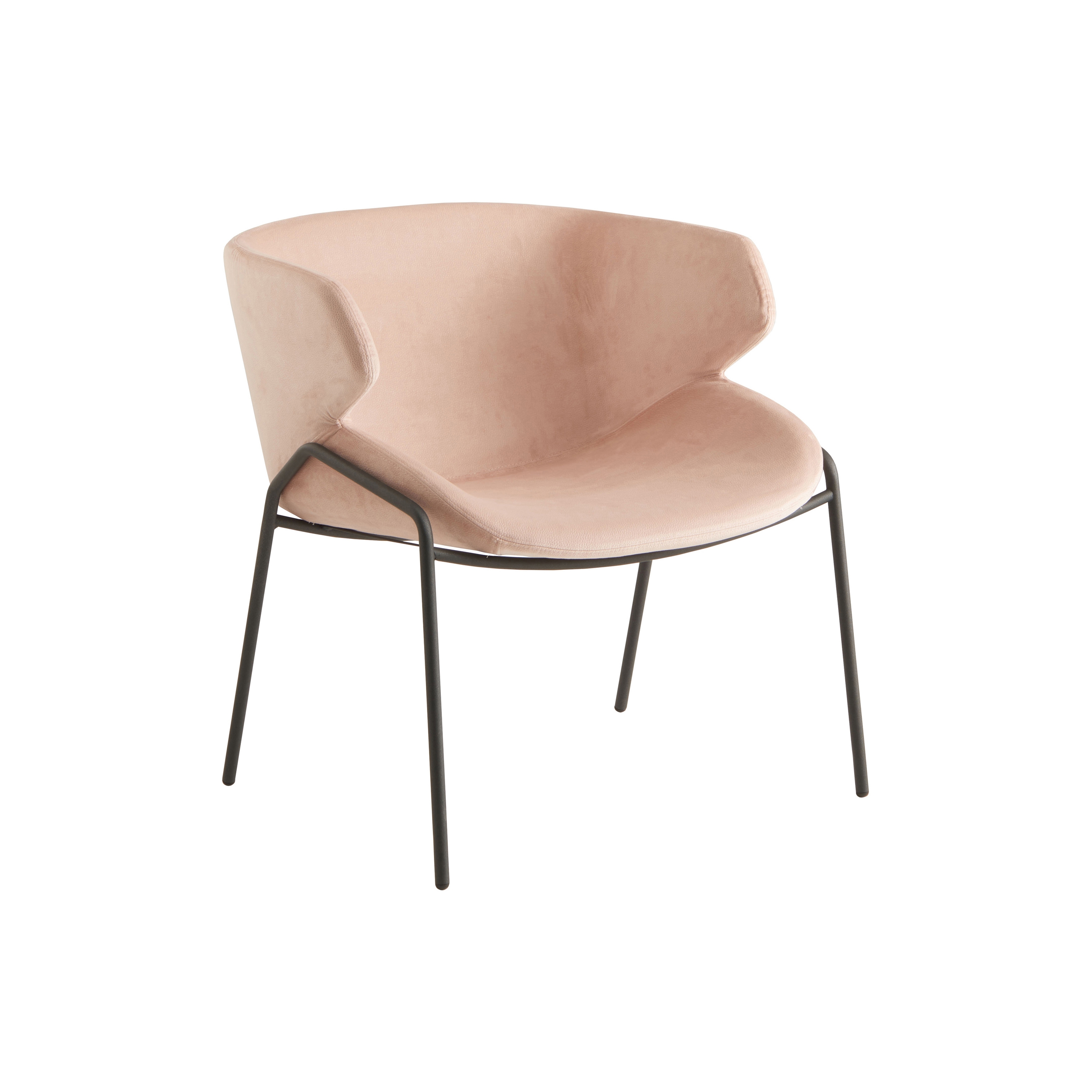 Nova Armchair