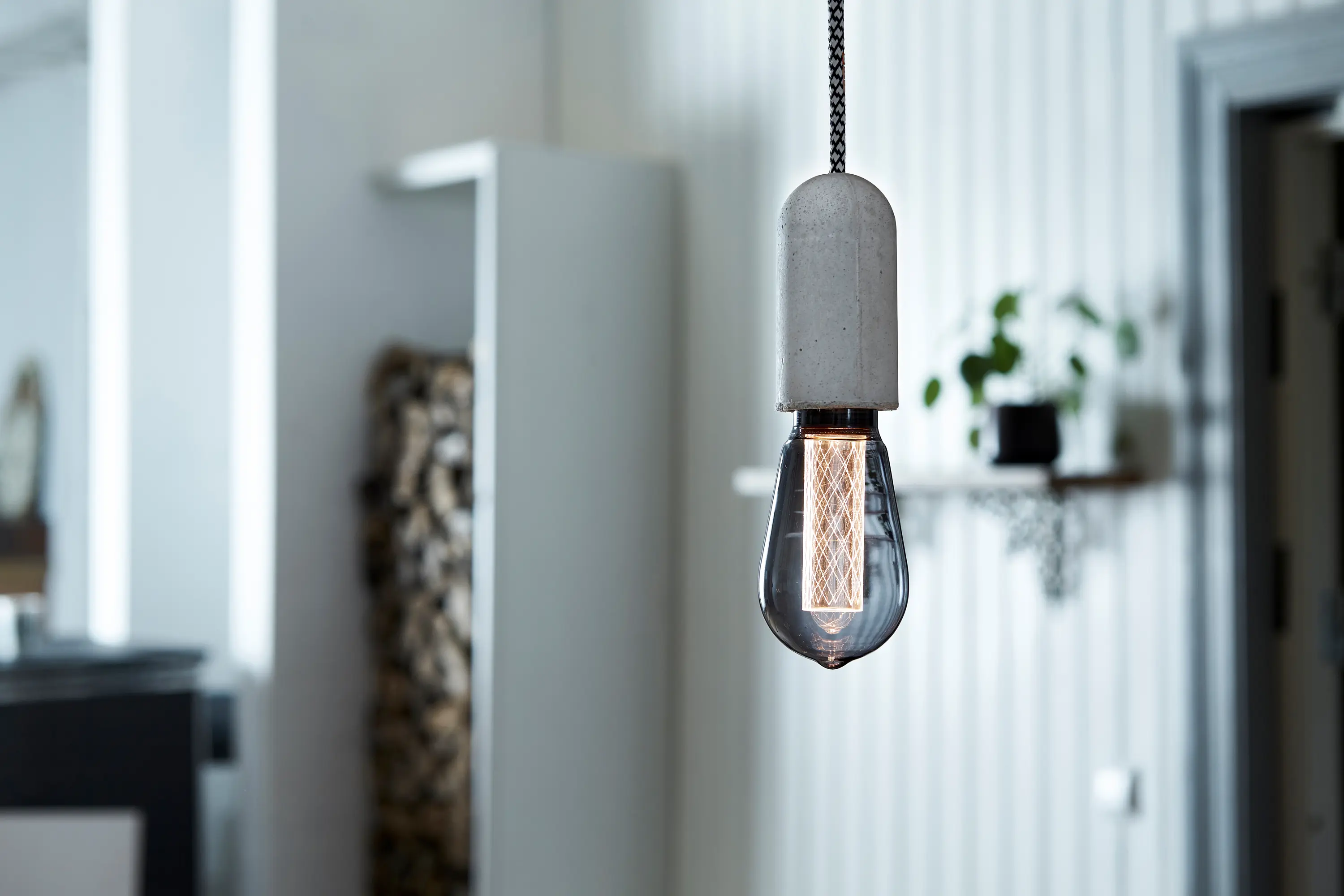 NUD Collection - LED Circus Black