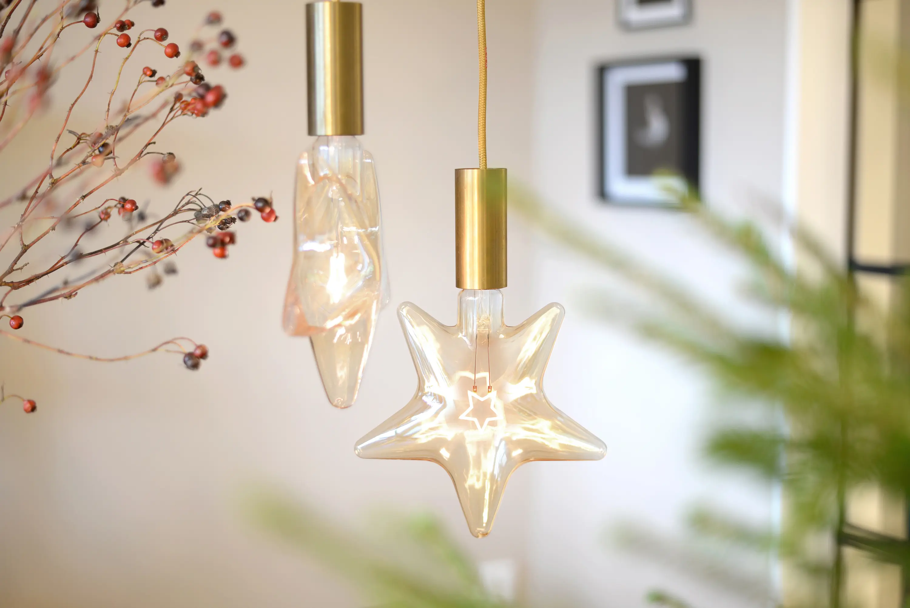 NUD Collection - LED Star