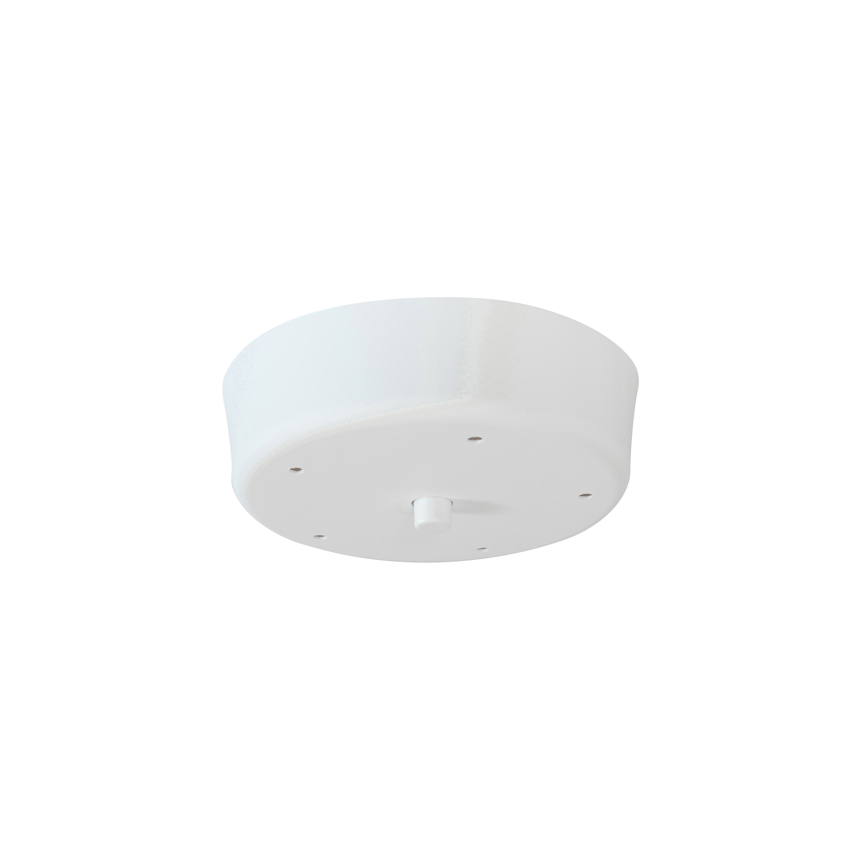 Ceiling Cup Plastic White 5 holes