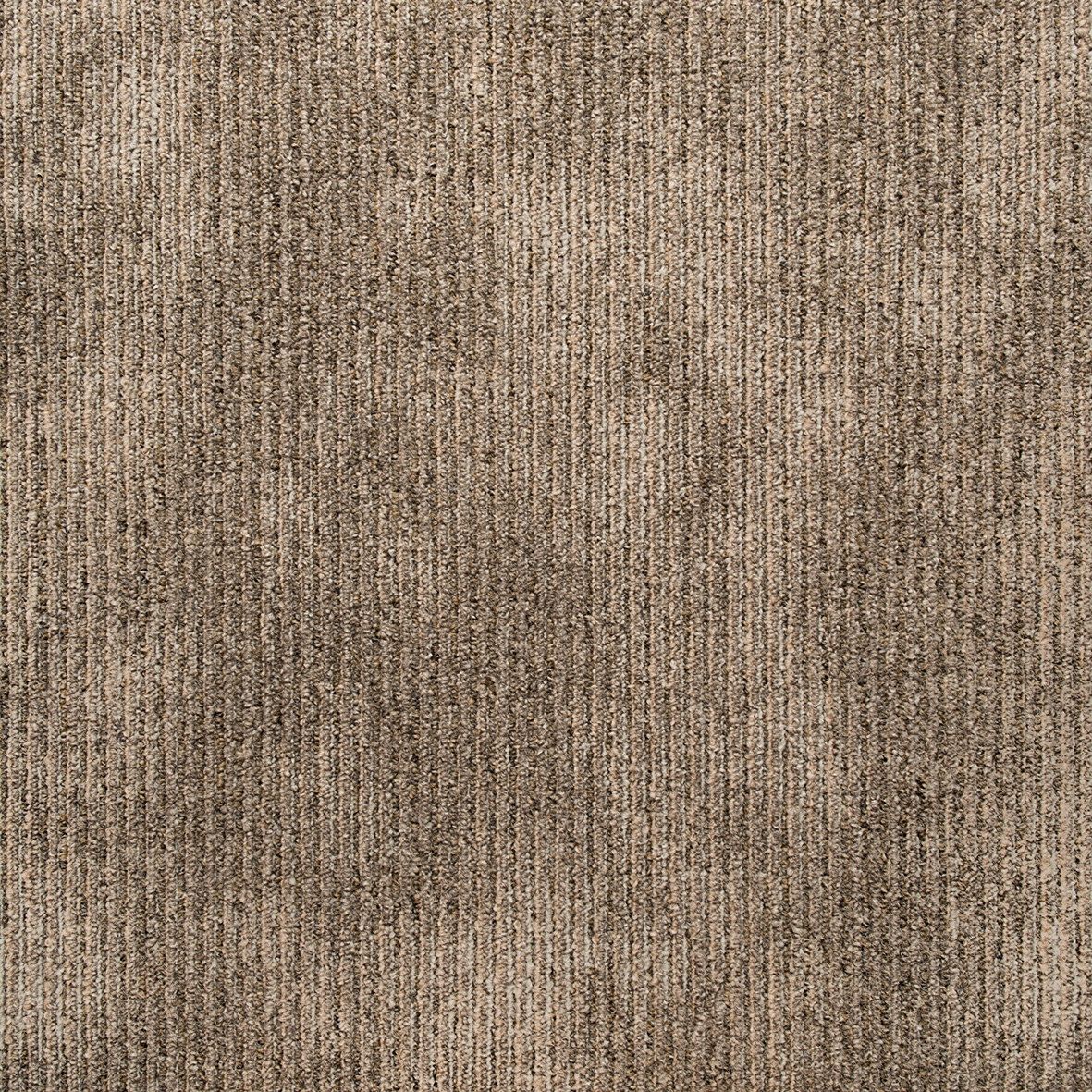 Art Exposure | Popular Attraction 853