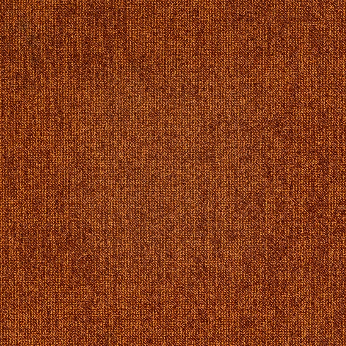 Rudiments | Jute 273