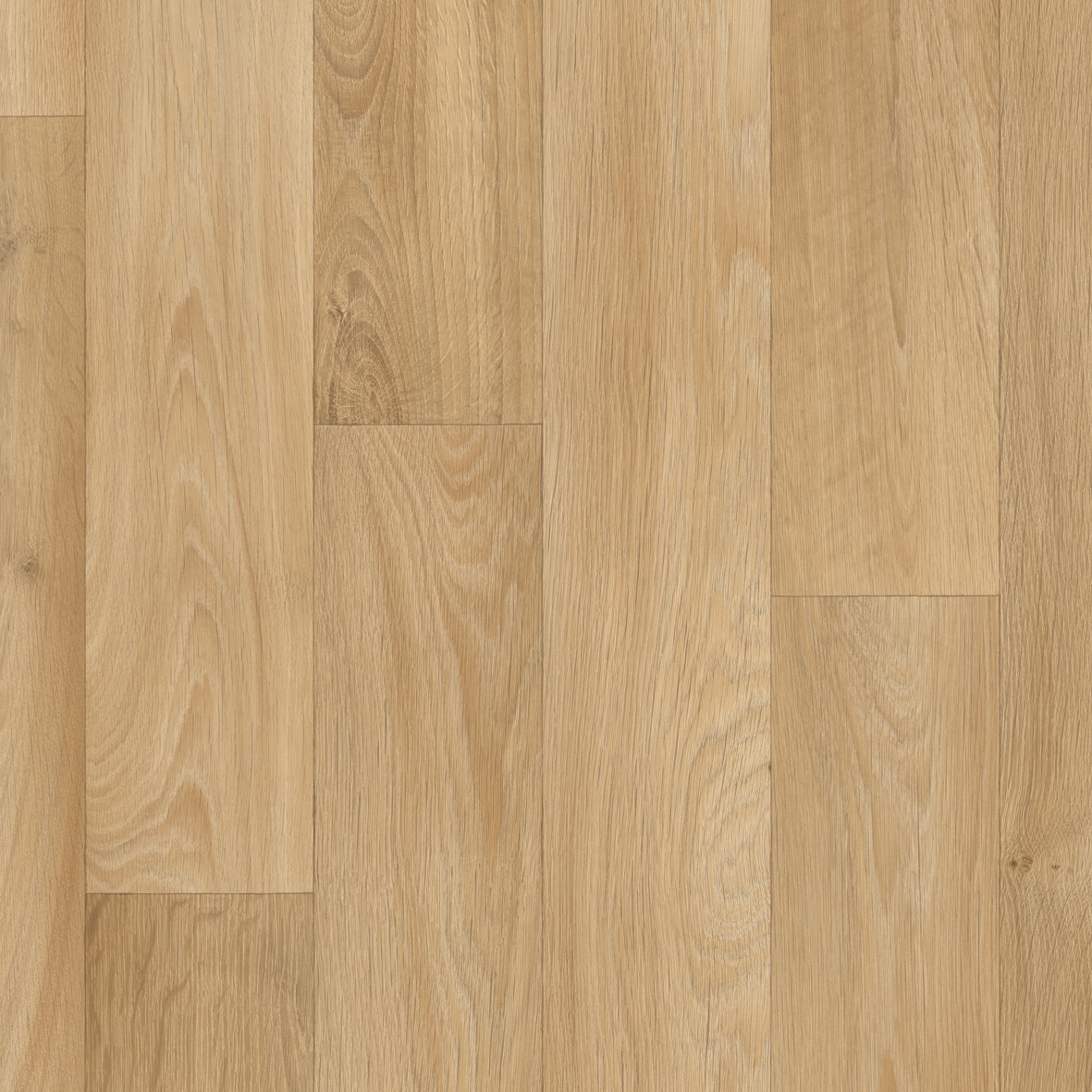 Centra | Camargue T51